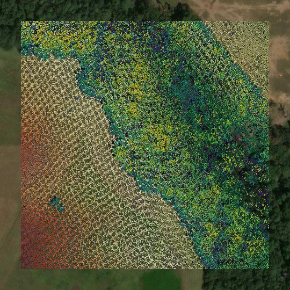 This image shows a LiDAR point cloud in Oconee County created using GIS data in Equator.