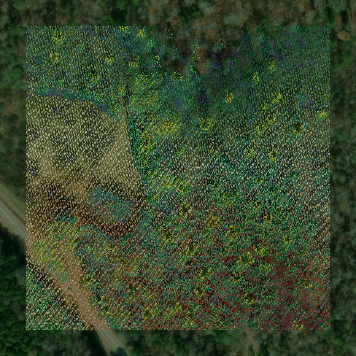 This image shows a LiDAR point cloud in Oconee County created using GIS data in Equator.