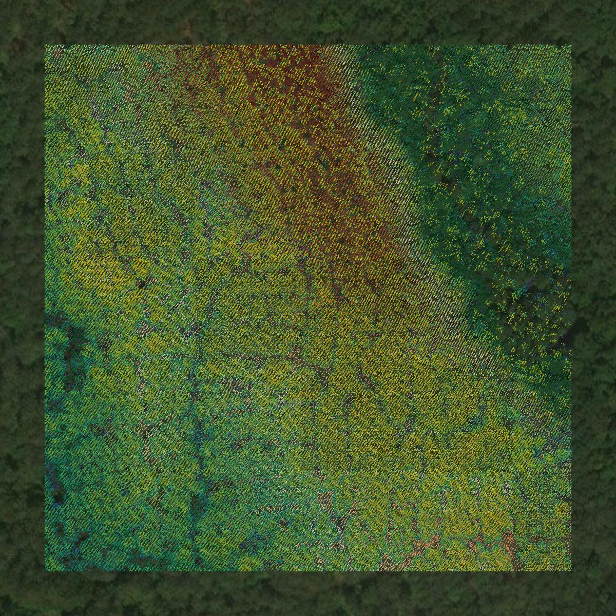 This image shows a LiDAR point cloud in Oglethorpe County created using GIS data in Equator.