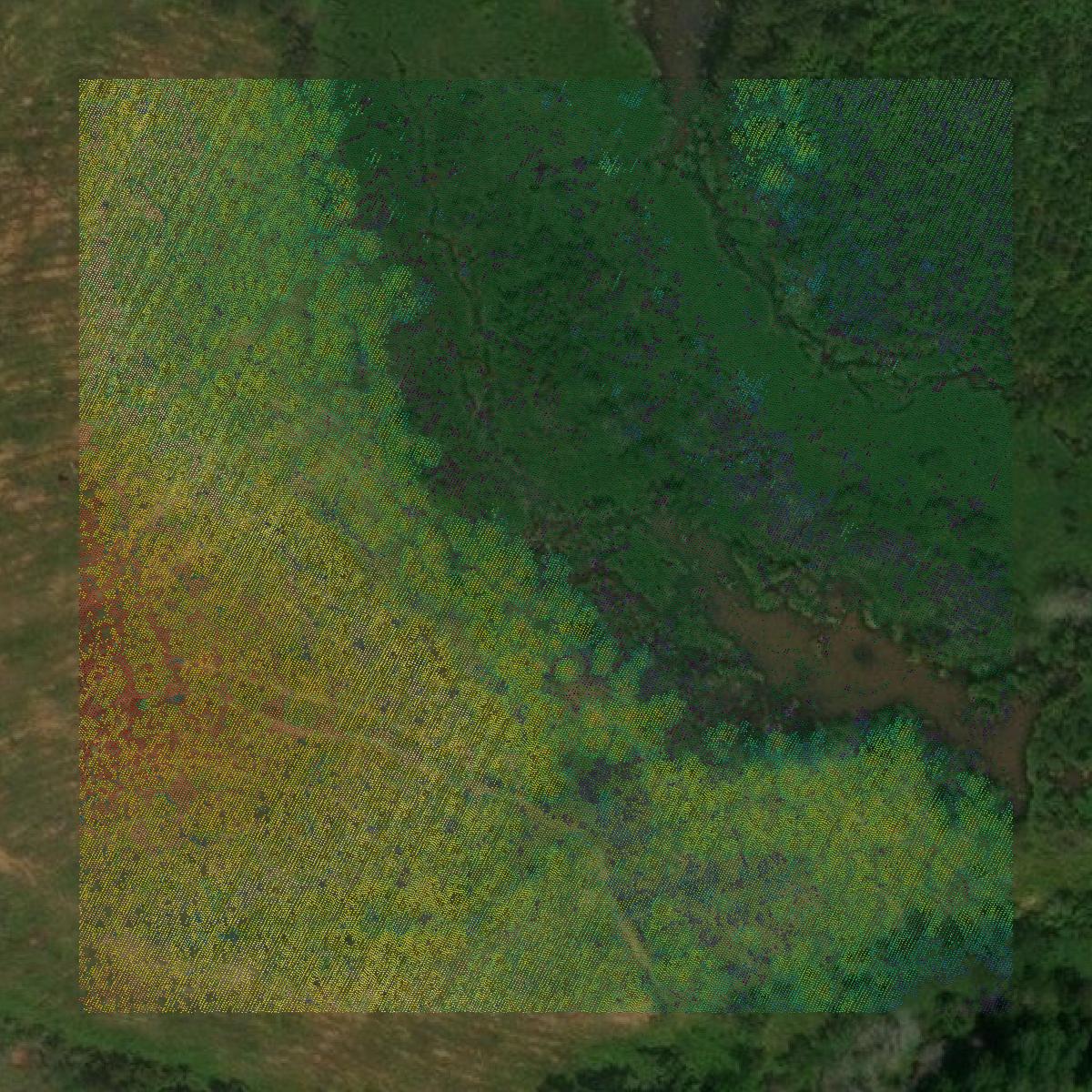 This image shows a LiDAR point cloud in Oglethorpe County created using GIS data in Equator.