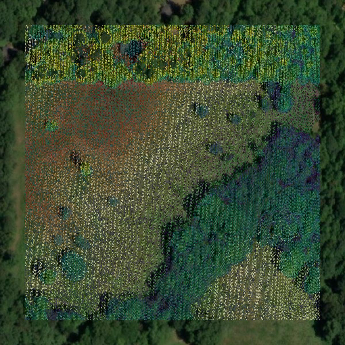 This image shows a LiDAR point cloud in Paulding County created using GIS data in Equator.