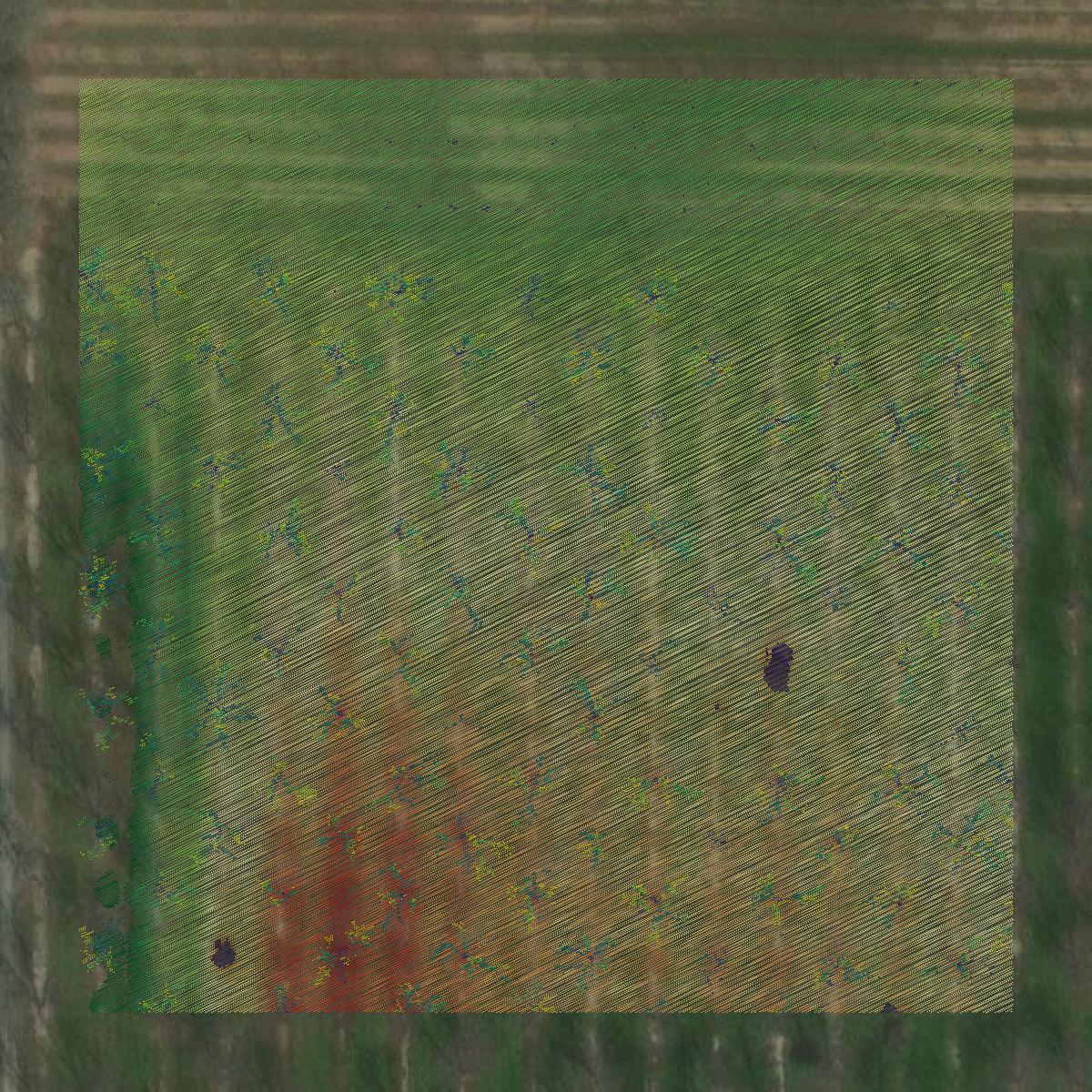 This image shows a LiDAR point cloud in Peach County created using GIS data in Equator.