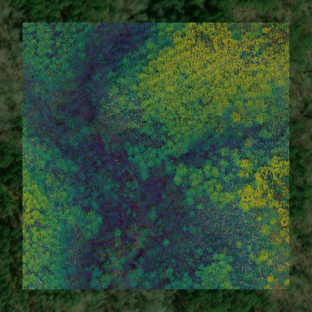 This image shows a LiDAR point cloud in Pickens County created using GIS data in Equator.