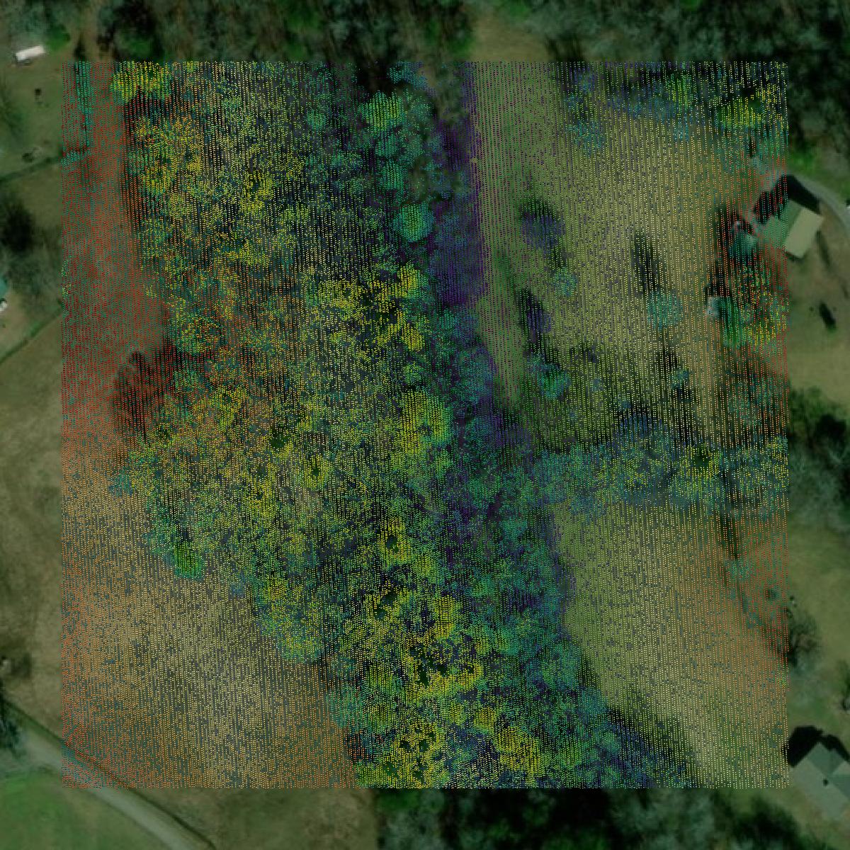 This image shows a LiDAR point cloud in Pickens County created using GIS data in Equator.