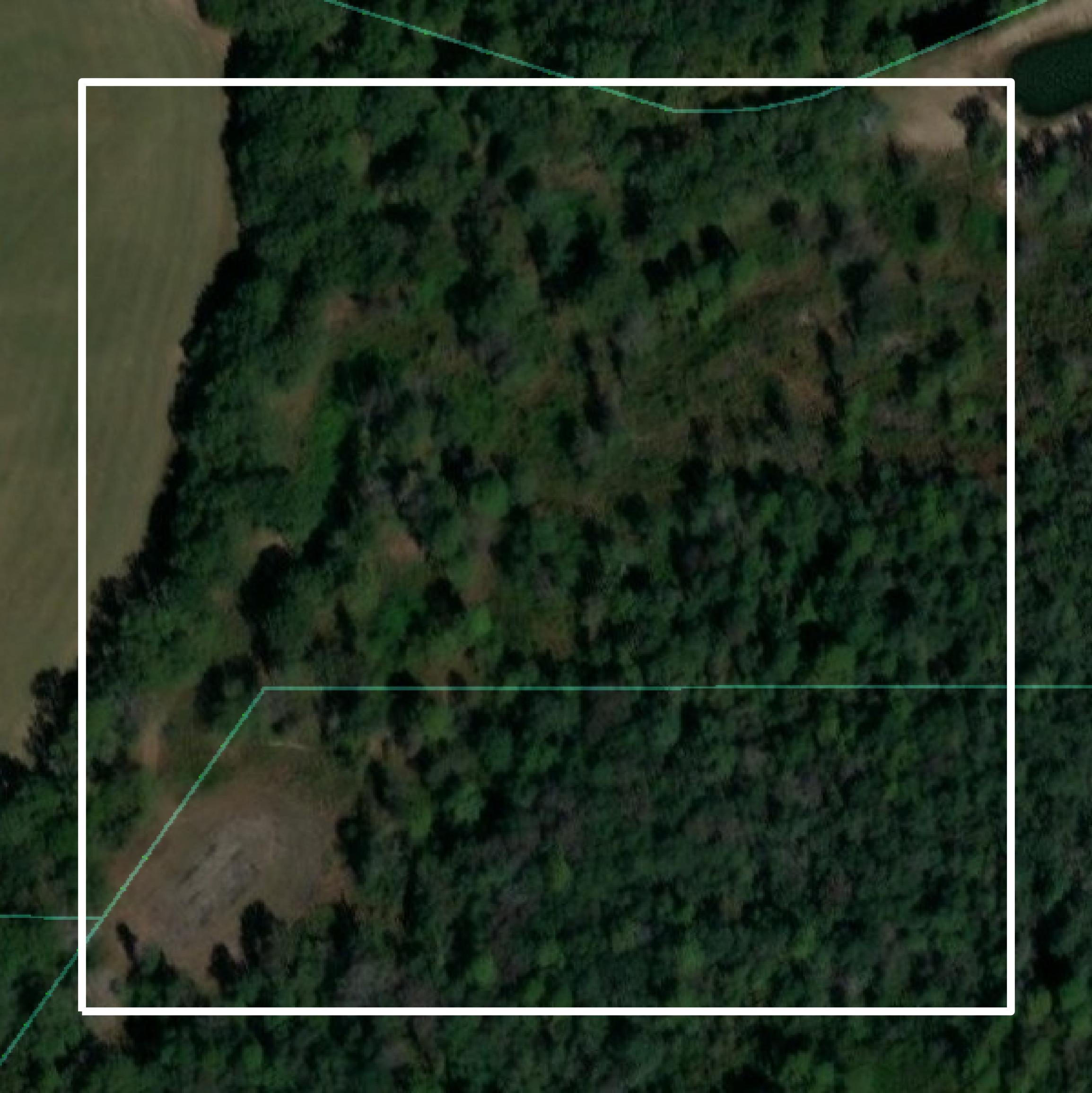 This image shows parcel and building data in Pierce County created using GIS data in Equator.