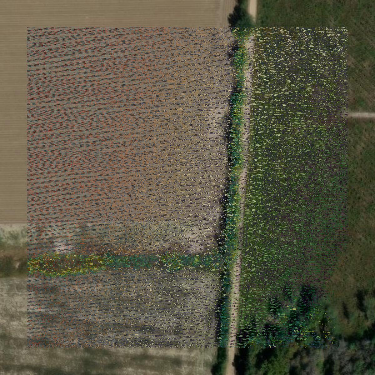 This image shows a LiDAR point cloud in Pierce County created using GIS data in Equator.