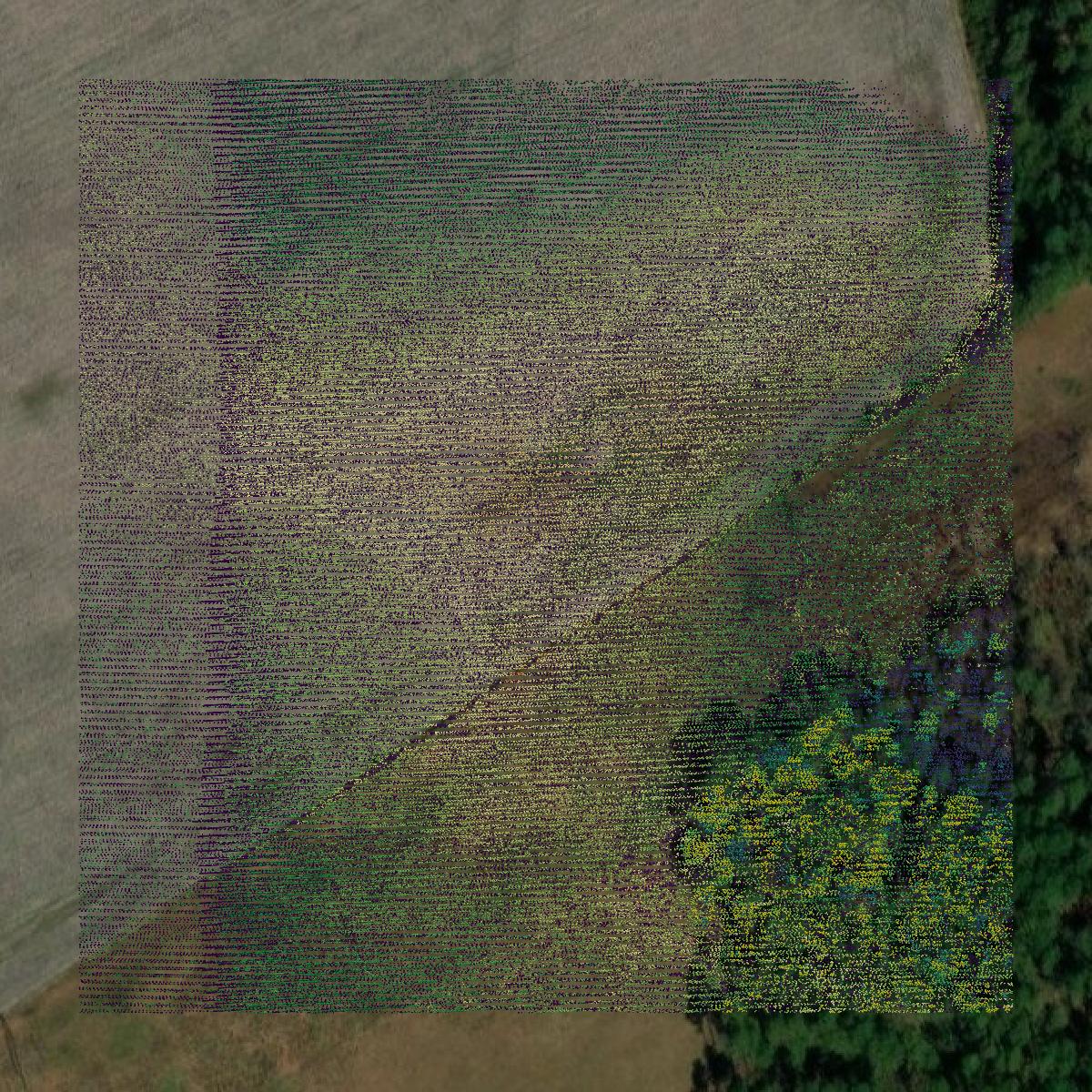 This image shows a LiDAR point cloud in Pierce County created using GIS data in Equator.