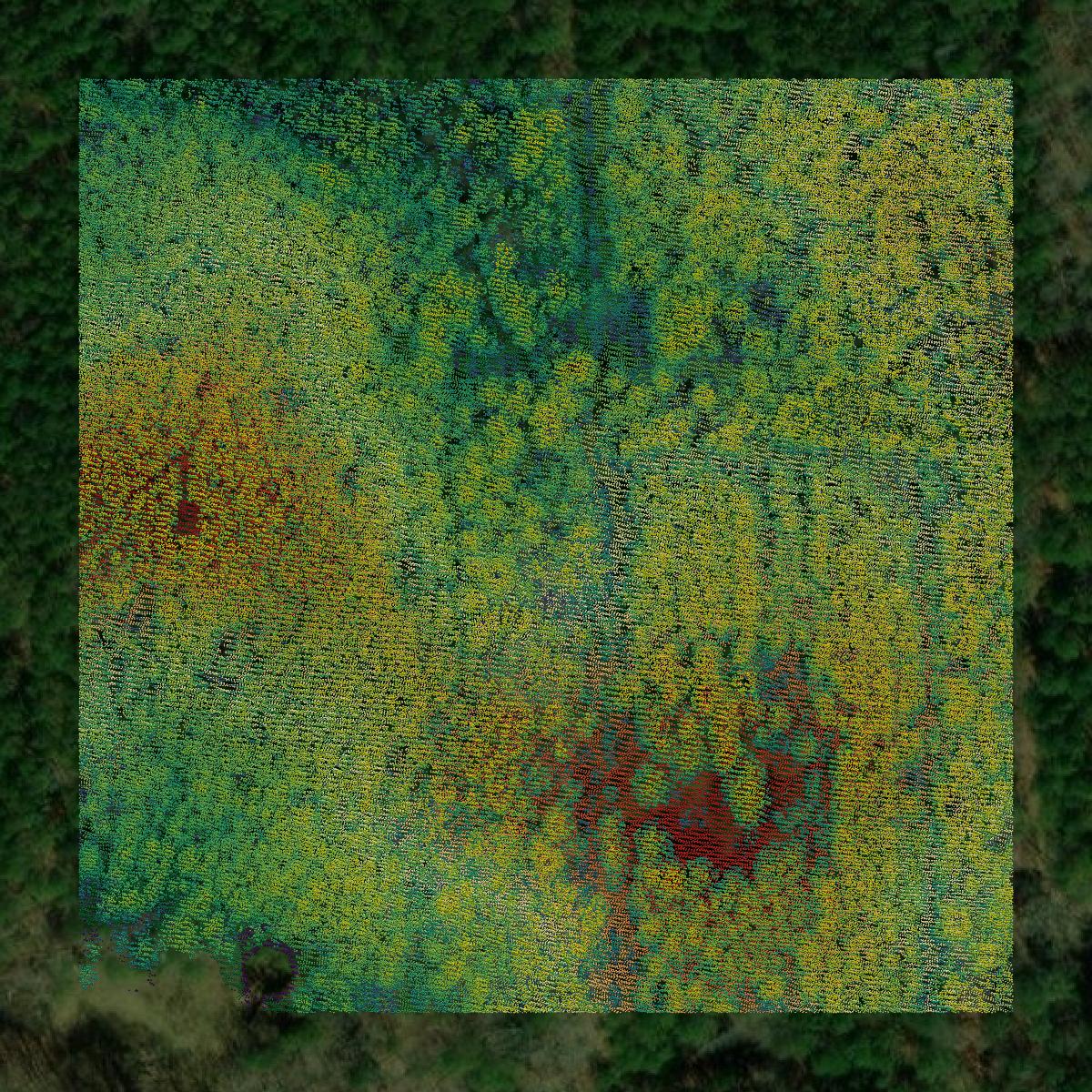 This image shows a LiDAR point cloud in Pike County created using GIS data in Equator.