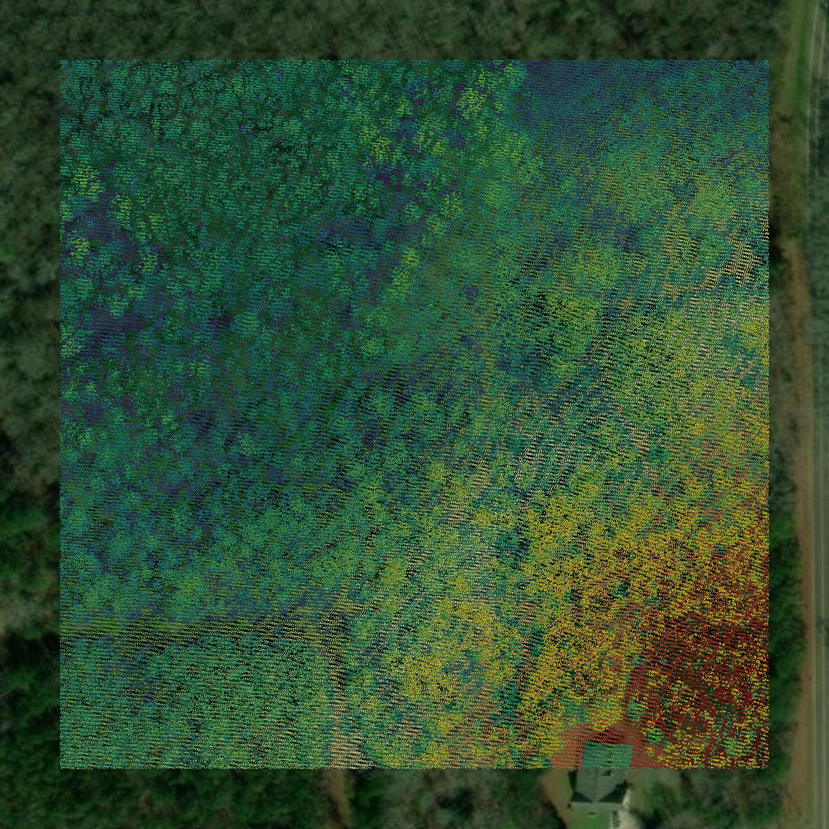 This image shows a LiDAR point cloud in Pike County created using GIS data in Equator.