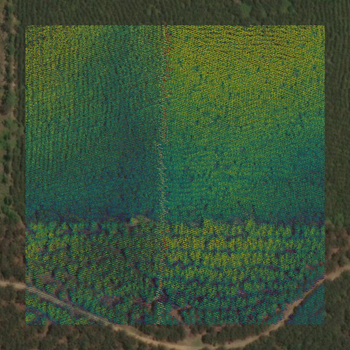 This image shows a LiDAR point cloud in Polk County created using GIS data in Equator.
