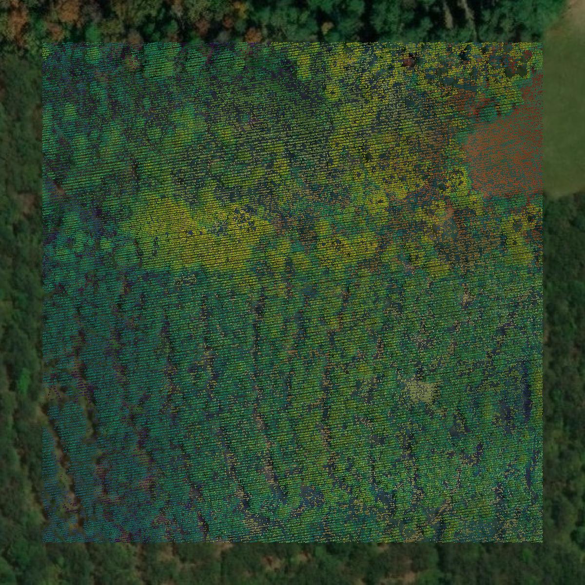 This image shows a LiDAR point cloud in Polk County created using GIS data in Equator.