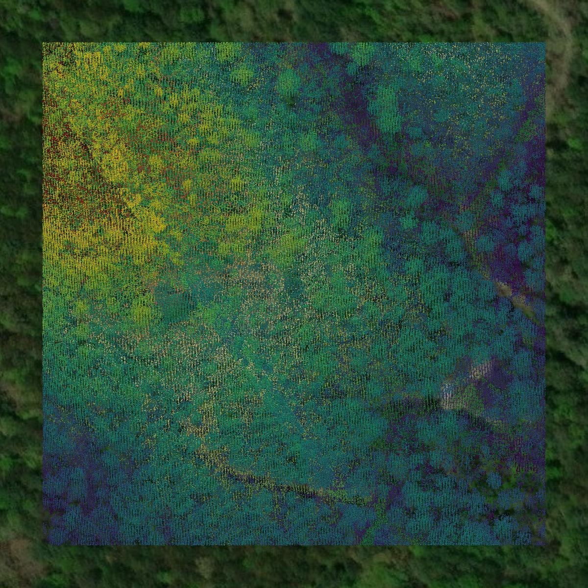 This image shows a LiDAR point cloud in Rabun County created using GIS data in Equator.