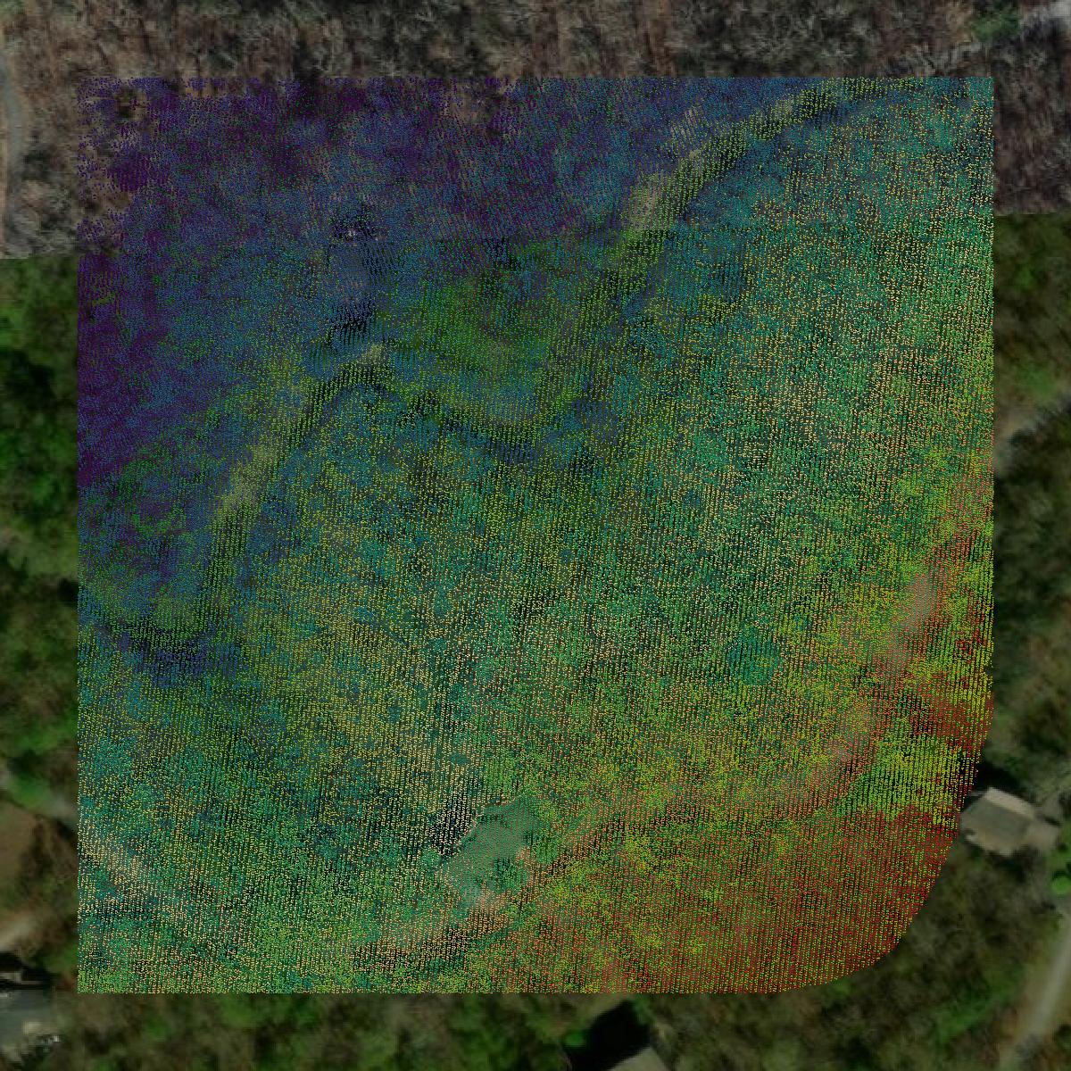 This image shows a LiDAR point cloud in Rabun County created using GIS data in Equator.