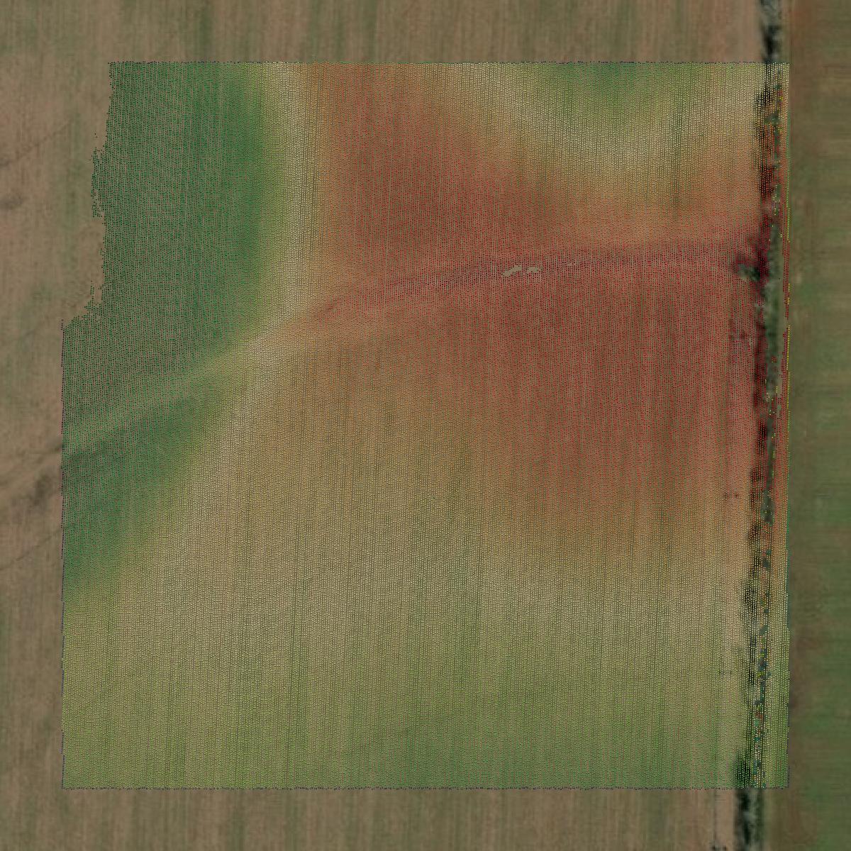 This image shows a LiDAR point cloud in Randolph County created using GIS data in Equator.