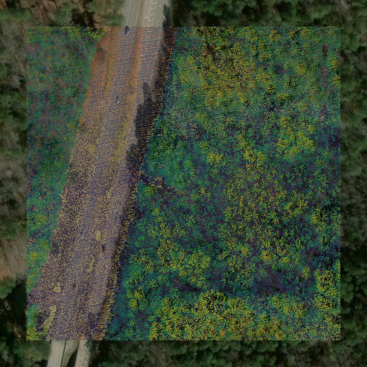 This image shows a LiDAR point cloud in Richmond County created using GIS data in Equator.