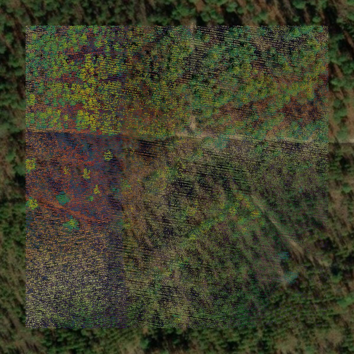 This image shows a LiDAR point cloud in Richmond County created using GIS data in Equator.
