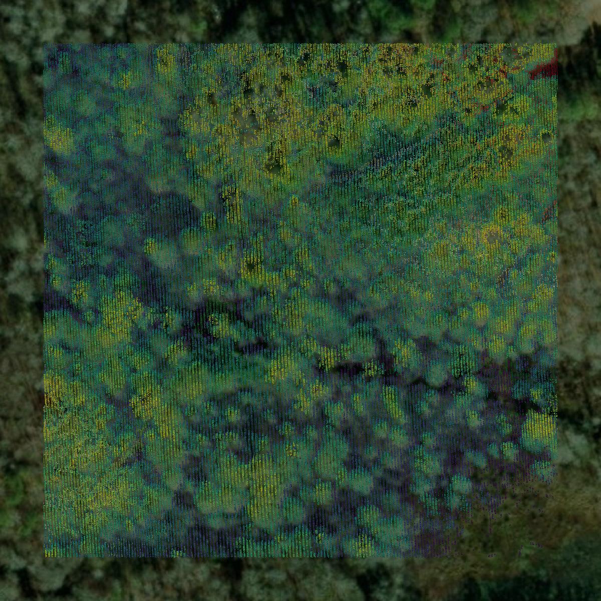 This image shows a LiDAR point cloud in Rockdale County created using GIS data in Equator.