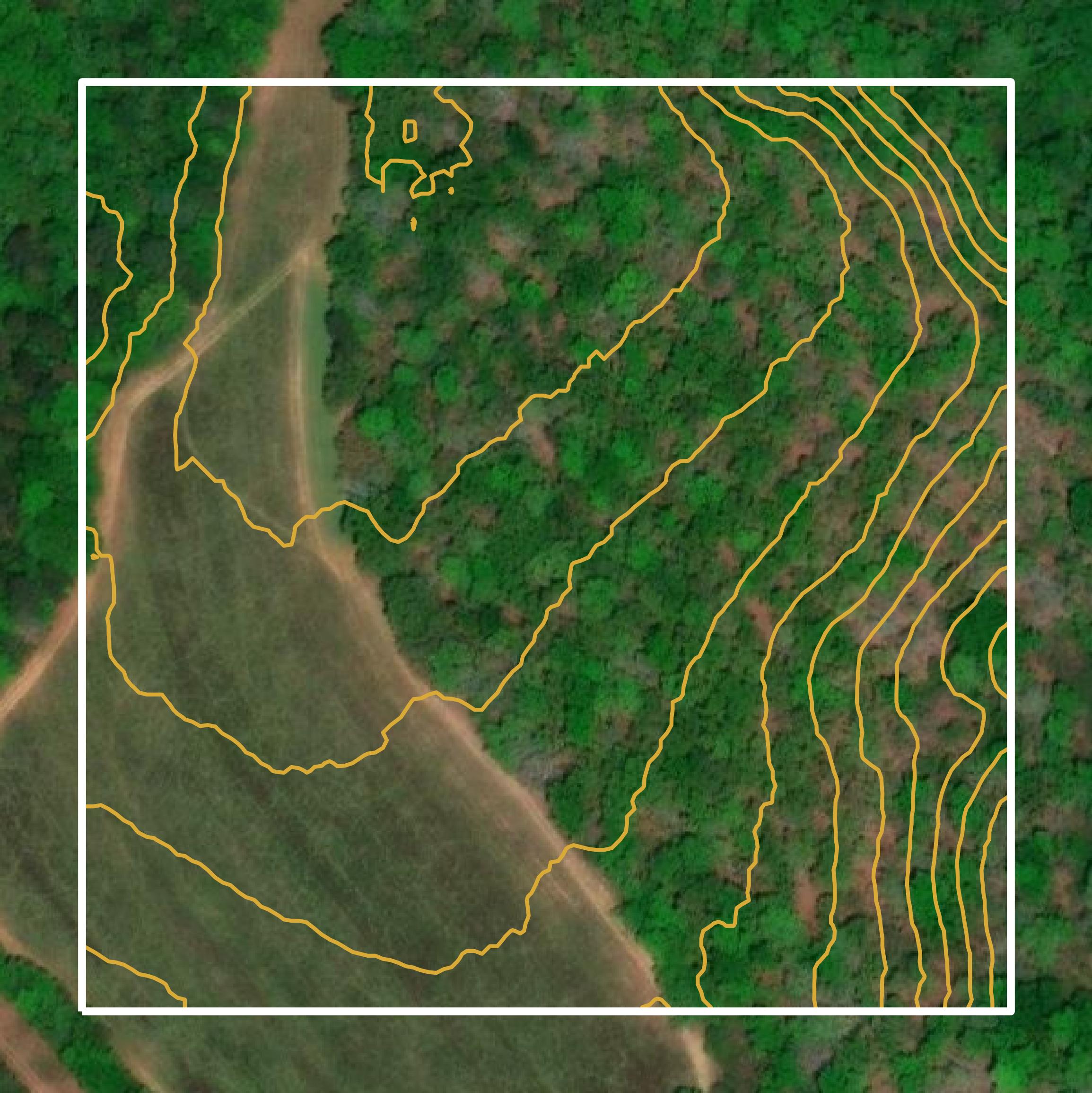 This image shows a contour map in Schley County created using GIS data in Equator.