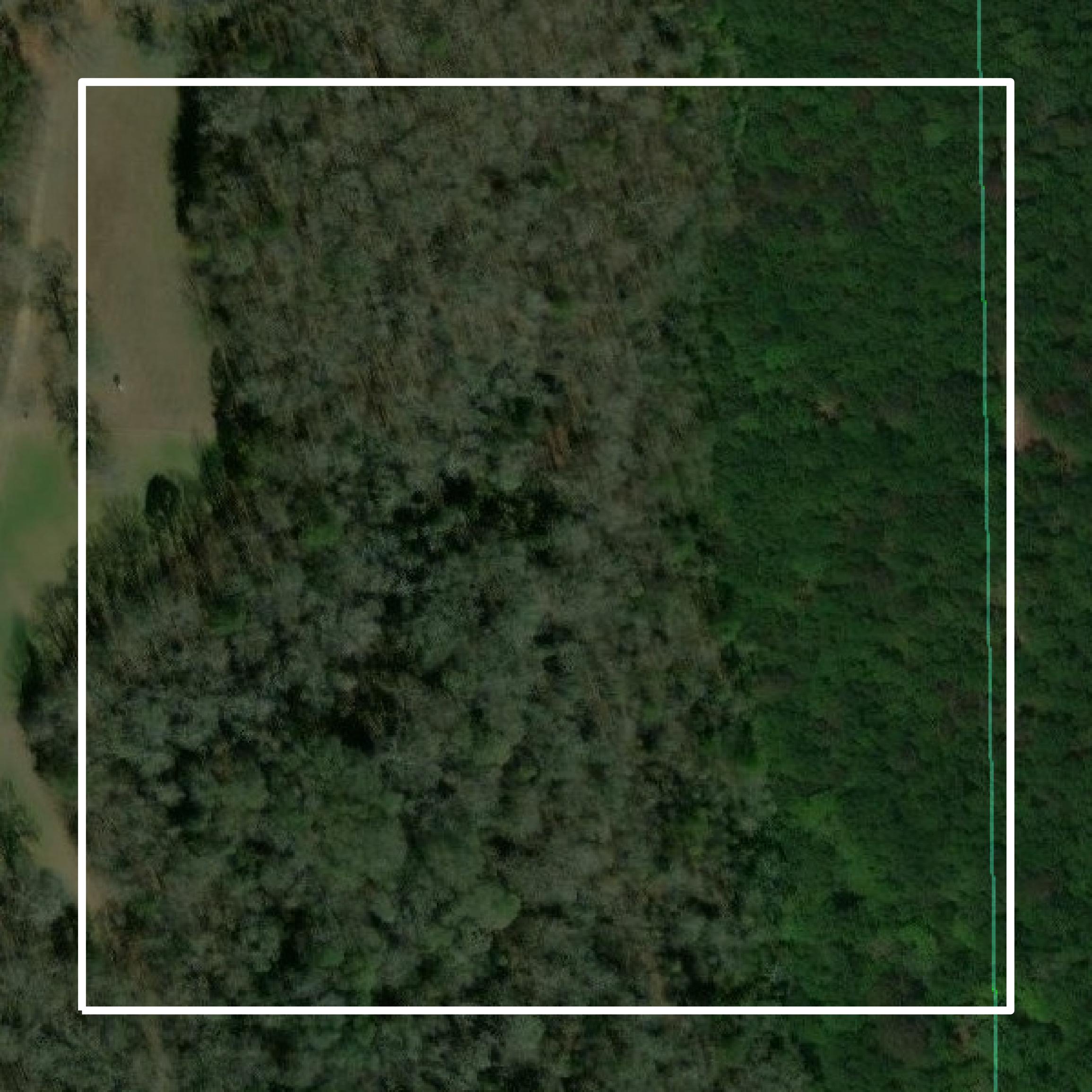This image shows parcel and building data in Schley County created using GIS data in Equator.