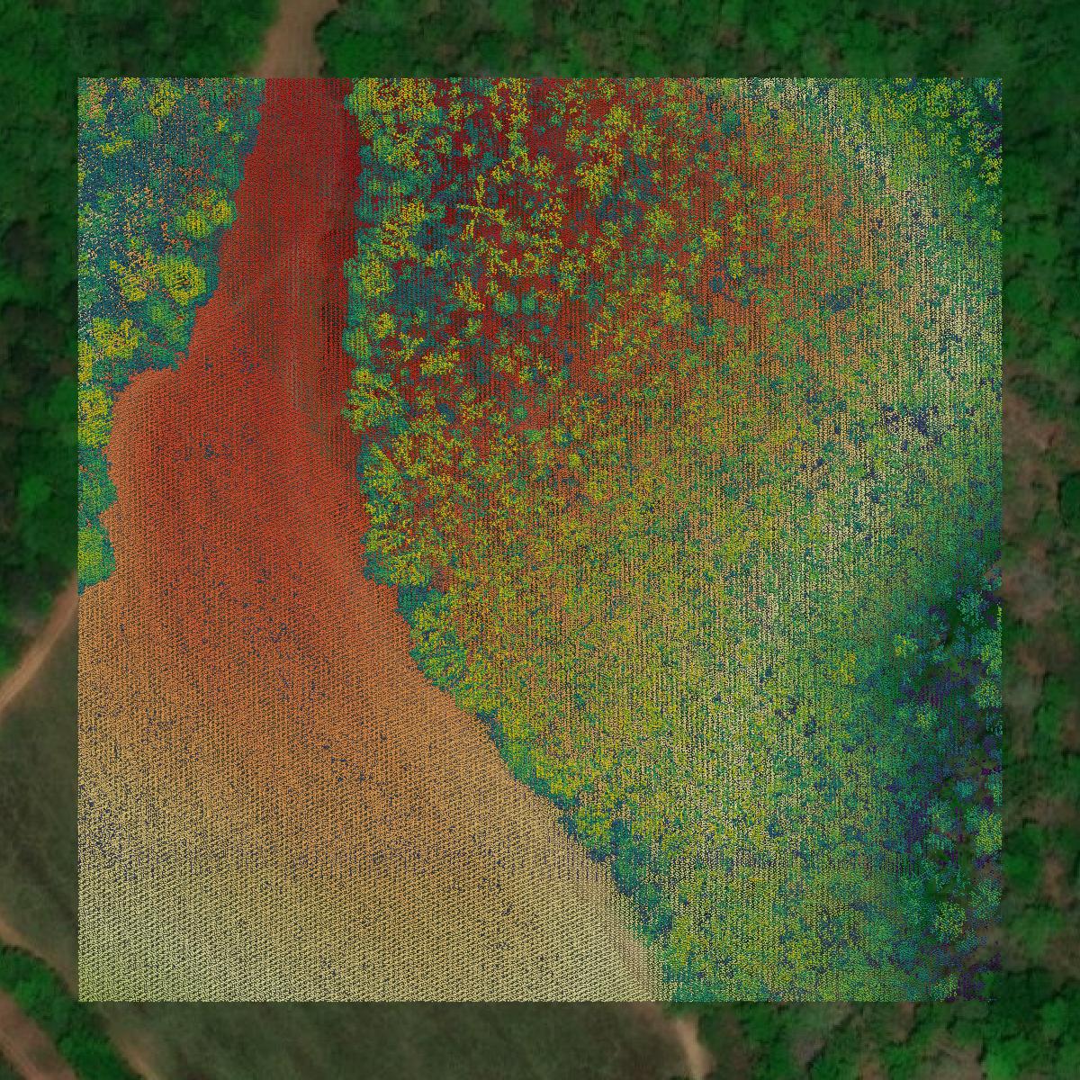 This image shows a LiDAR point cloud in Schley County created using GIS data in Equator.