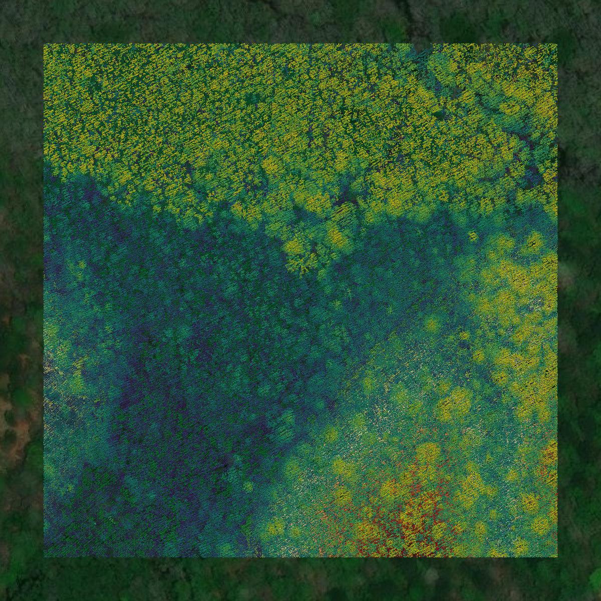 This image shows a LiDAR point cloud in Schley County created using GIS data in Equator.