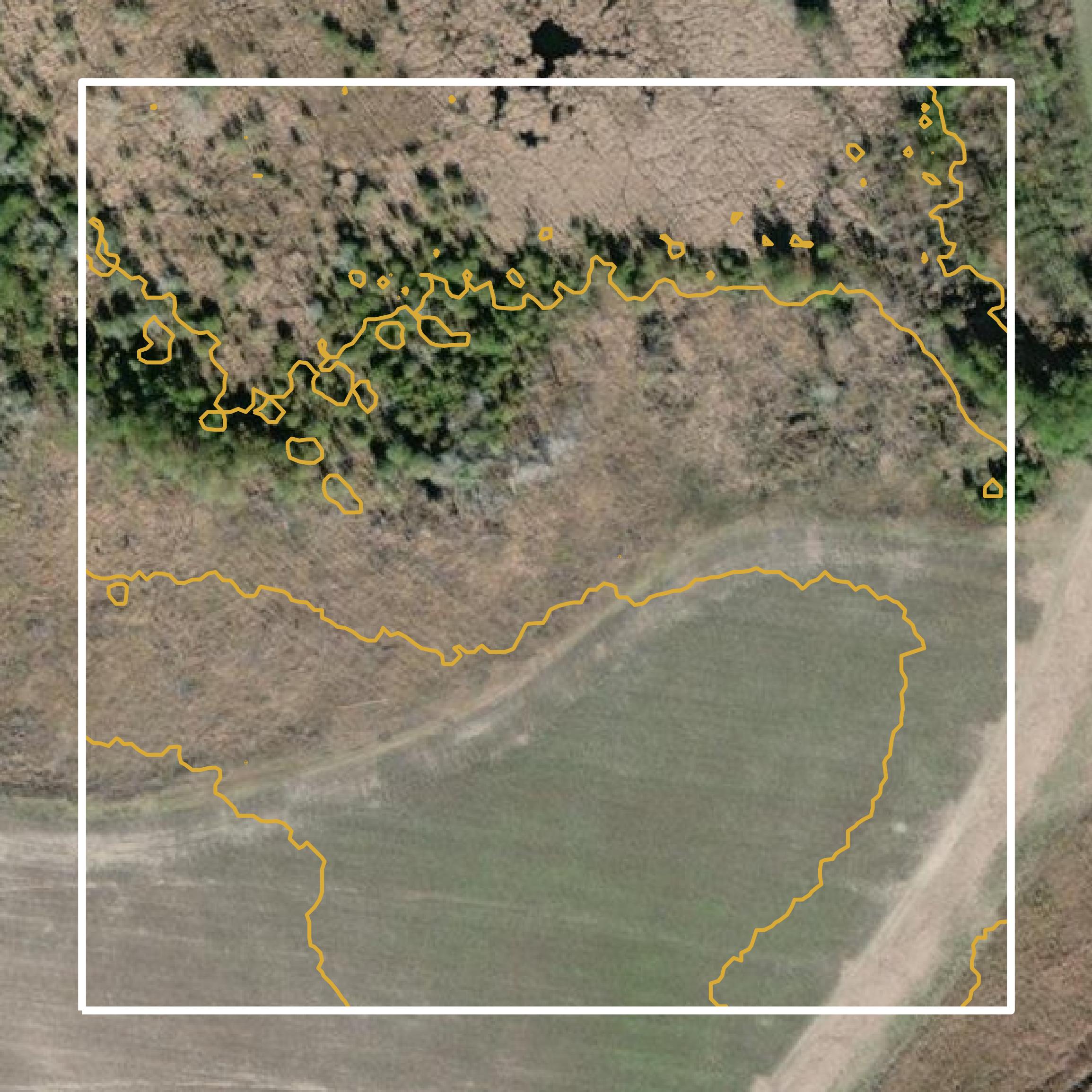 This image shows a contour map in Screven County created using GIS data in Equator.