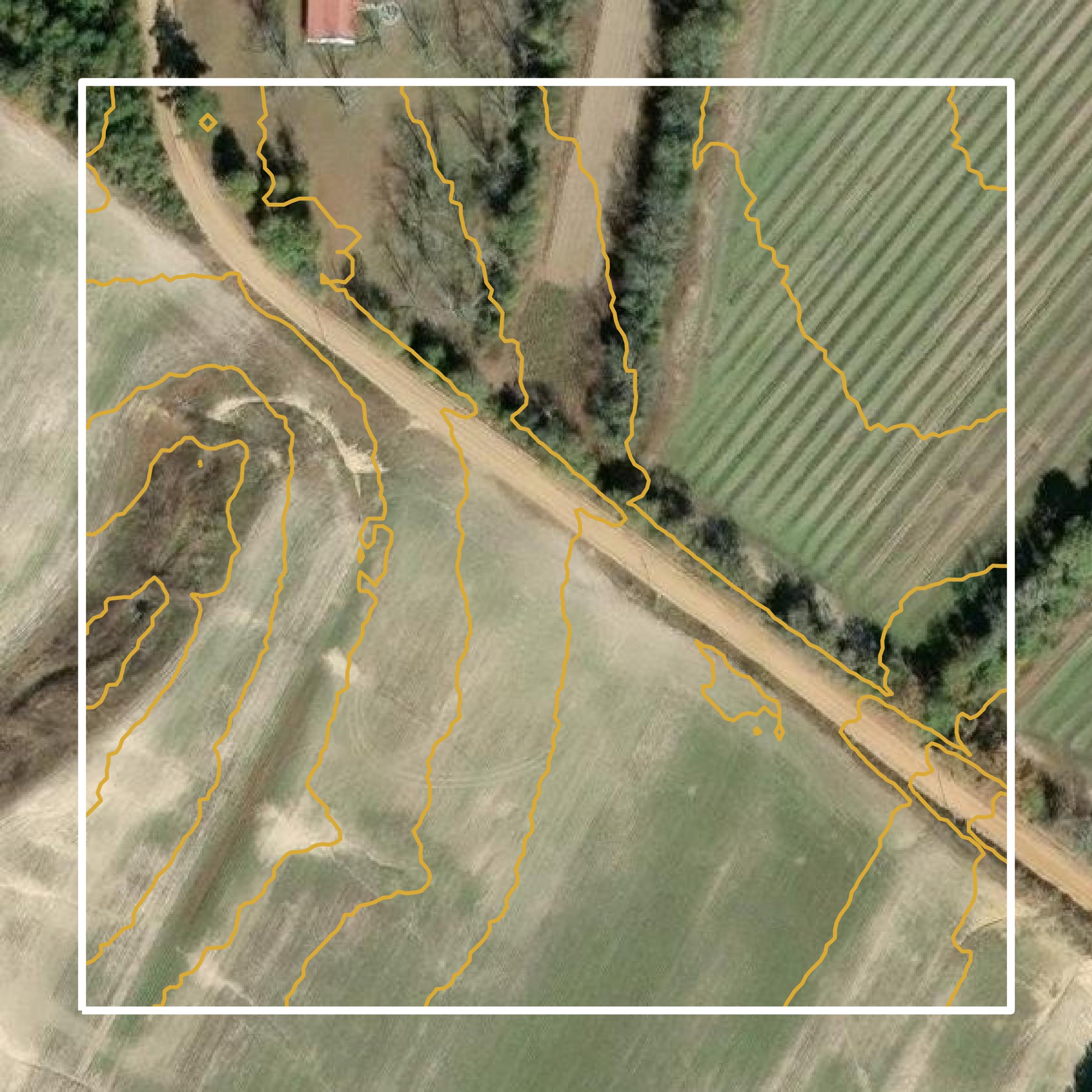This image shows a contour map in Screven County created using GIS data in Equator.
