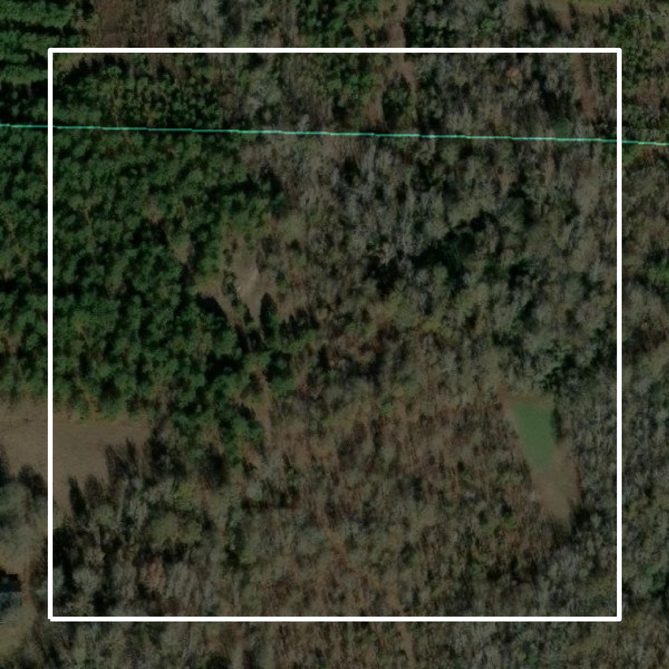 This image shows parcel and building data in Screven County created using GIS data in Equator.