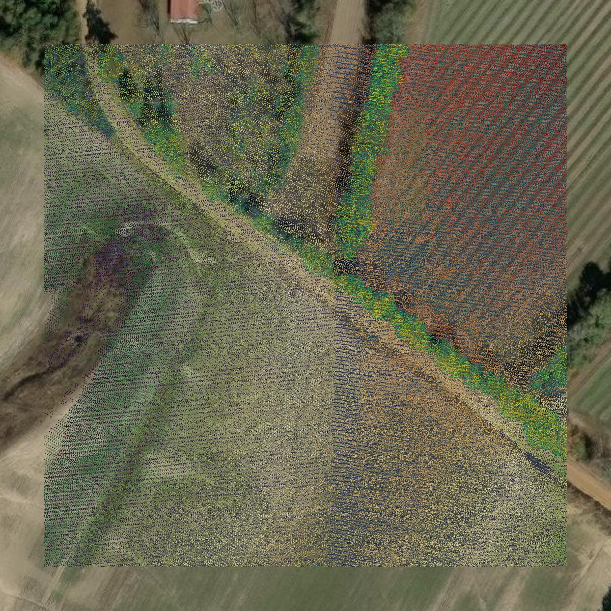 This image shows a LiDAR point cloud in Screven County created using GIS data in Equator.