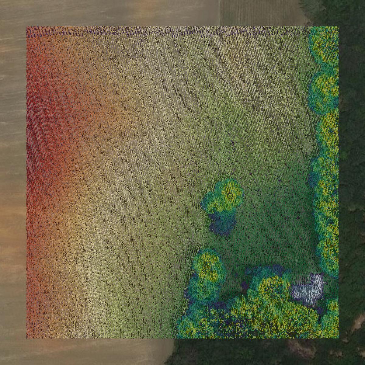 This image shows a LiDAR point cloud in Seminole County created using GIS data in Equator.