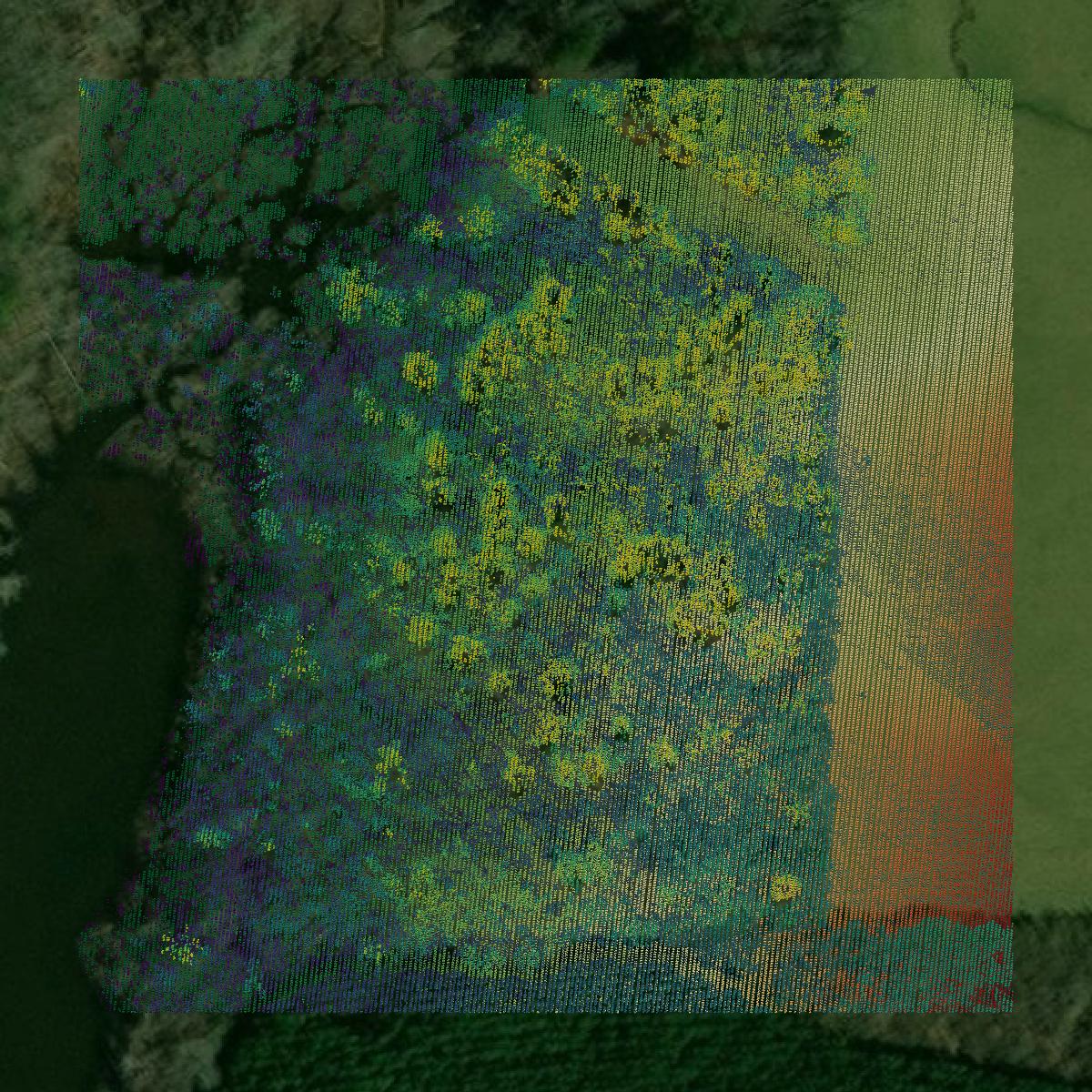This image shows a LiDAR point cloud in Spalding County created using GIS data in Equator.