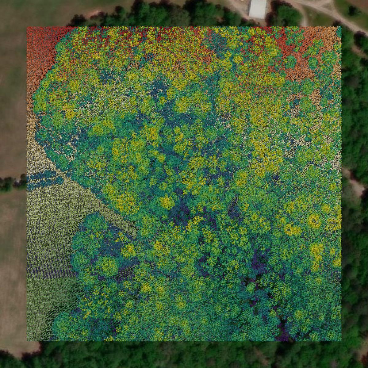 This image shows a LiDAR point cloud in Spalding County created using GIS data in Equator.