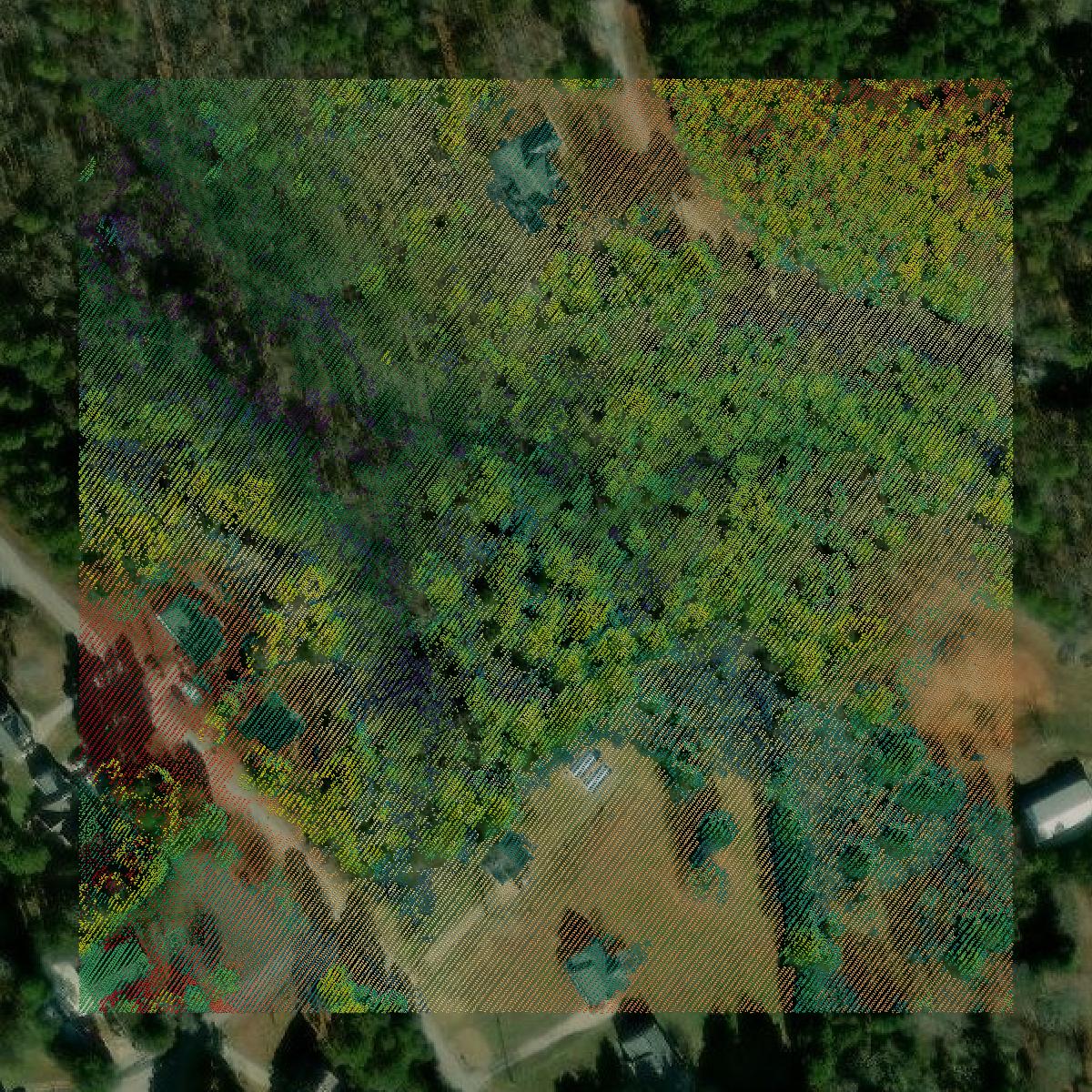 This image shows a LiDAR point cloud in Stephens County created using GIS data in Equator.