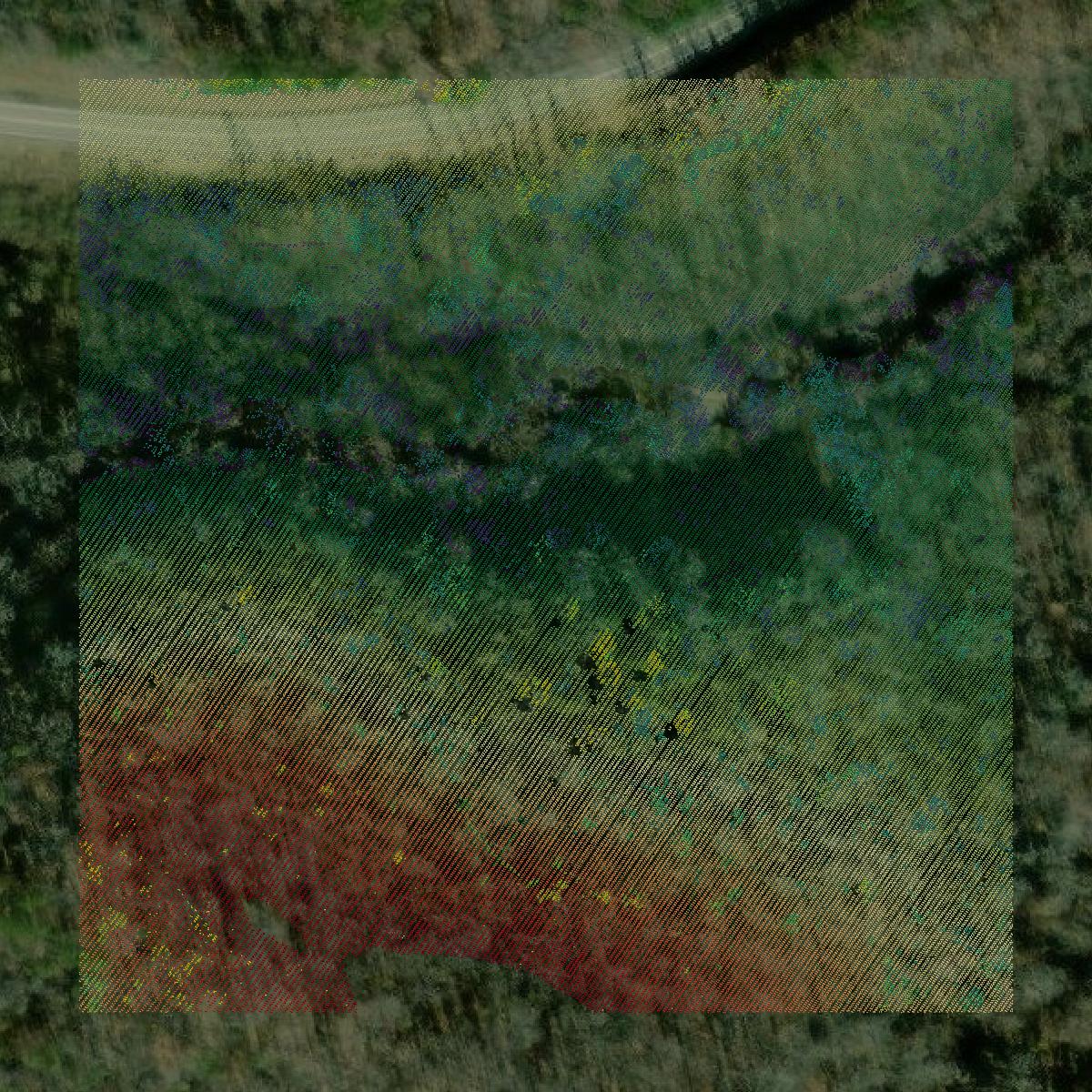 This image shows a LiDAR point cloud in Stephens County created using GIS data in Equator.