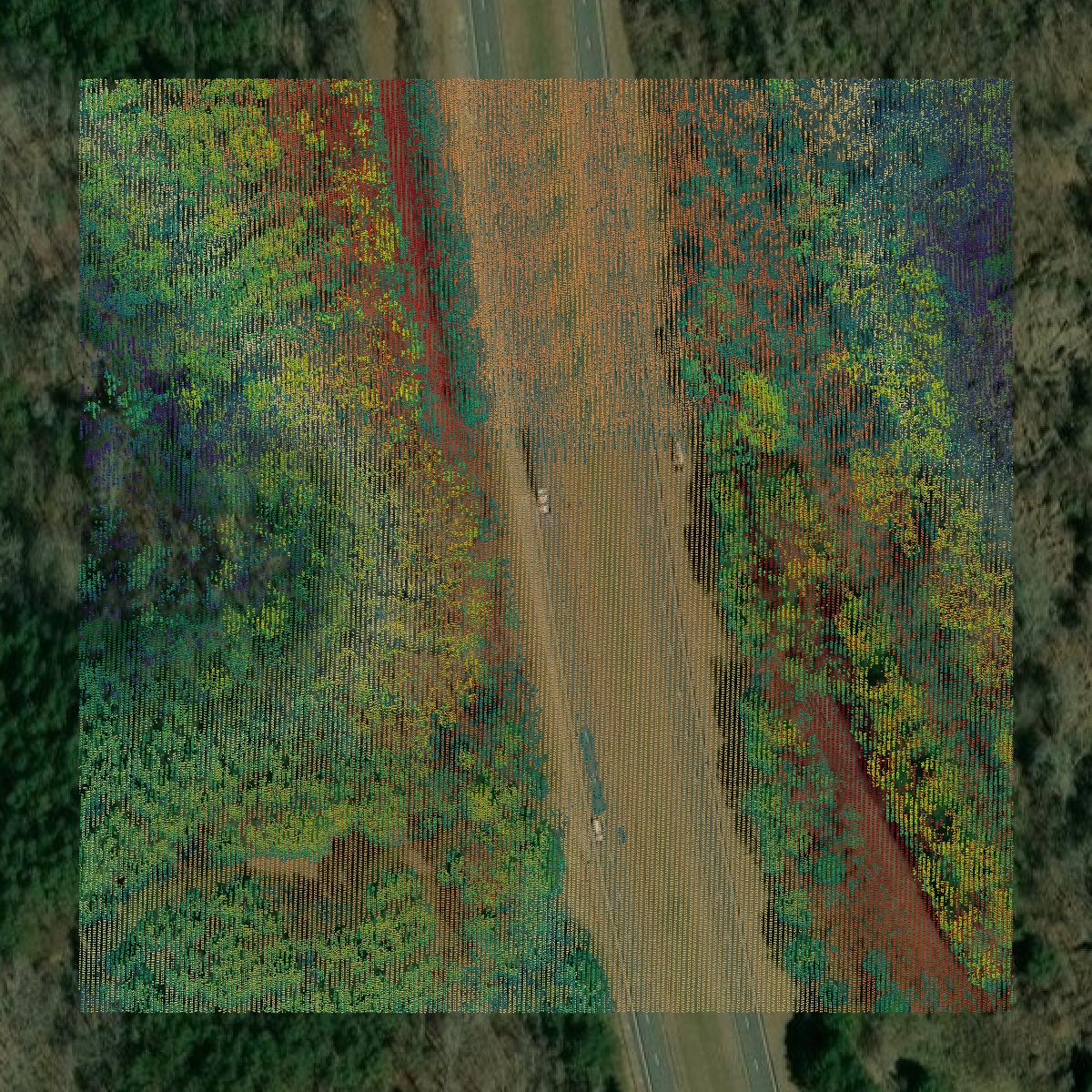 This image shows a LiDAR point cloud in Stewart County created using GIS data in Equator.