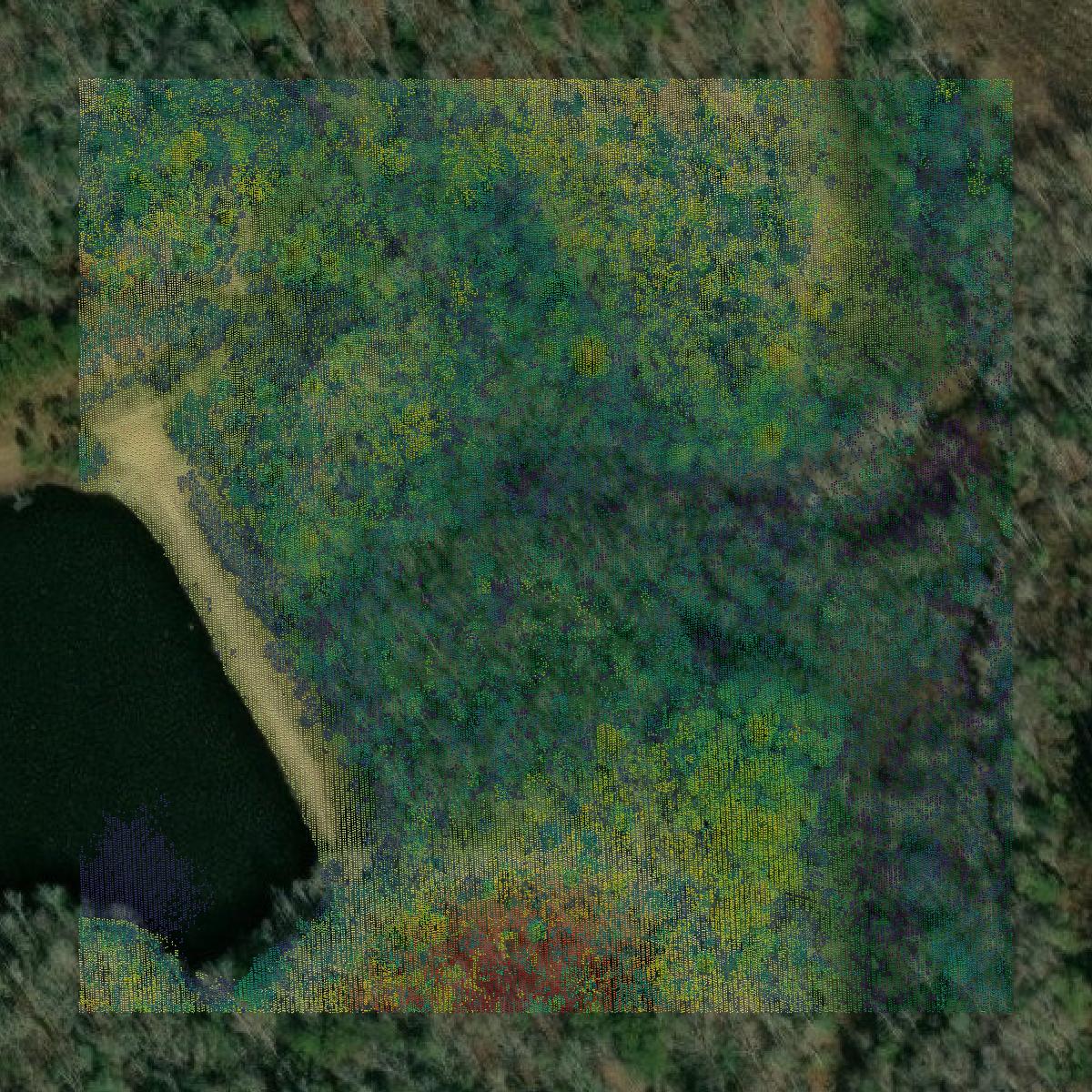 This image shows a LiDAR point cloud in Stewart County created using GIS data in Equator.
