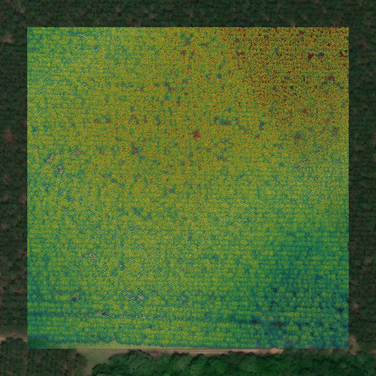 This image shows a LiDAR point cloud in Sumter County created using GIS data in Equator.