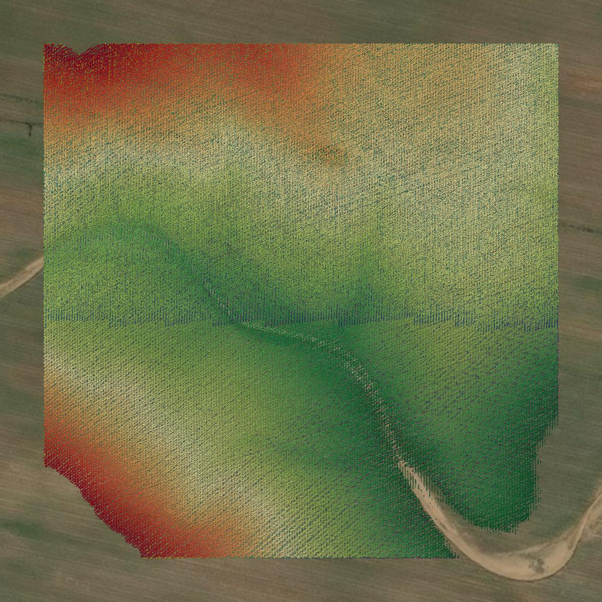This image shows a LiDAR point cloud in Sumter County created using GIS data in Equator.