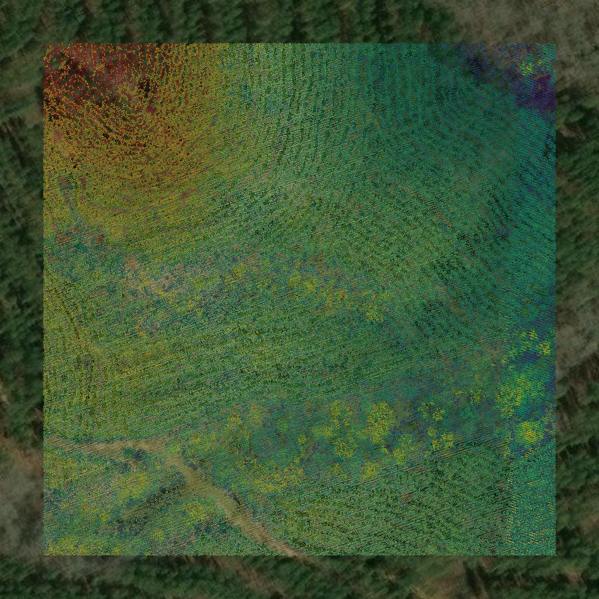 This image shows a LiDAR point cloud in Talbot County created using GIS data in Equator.