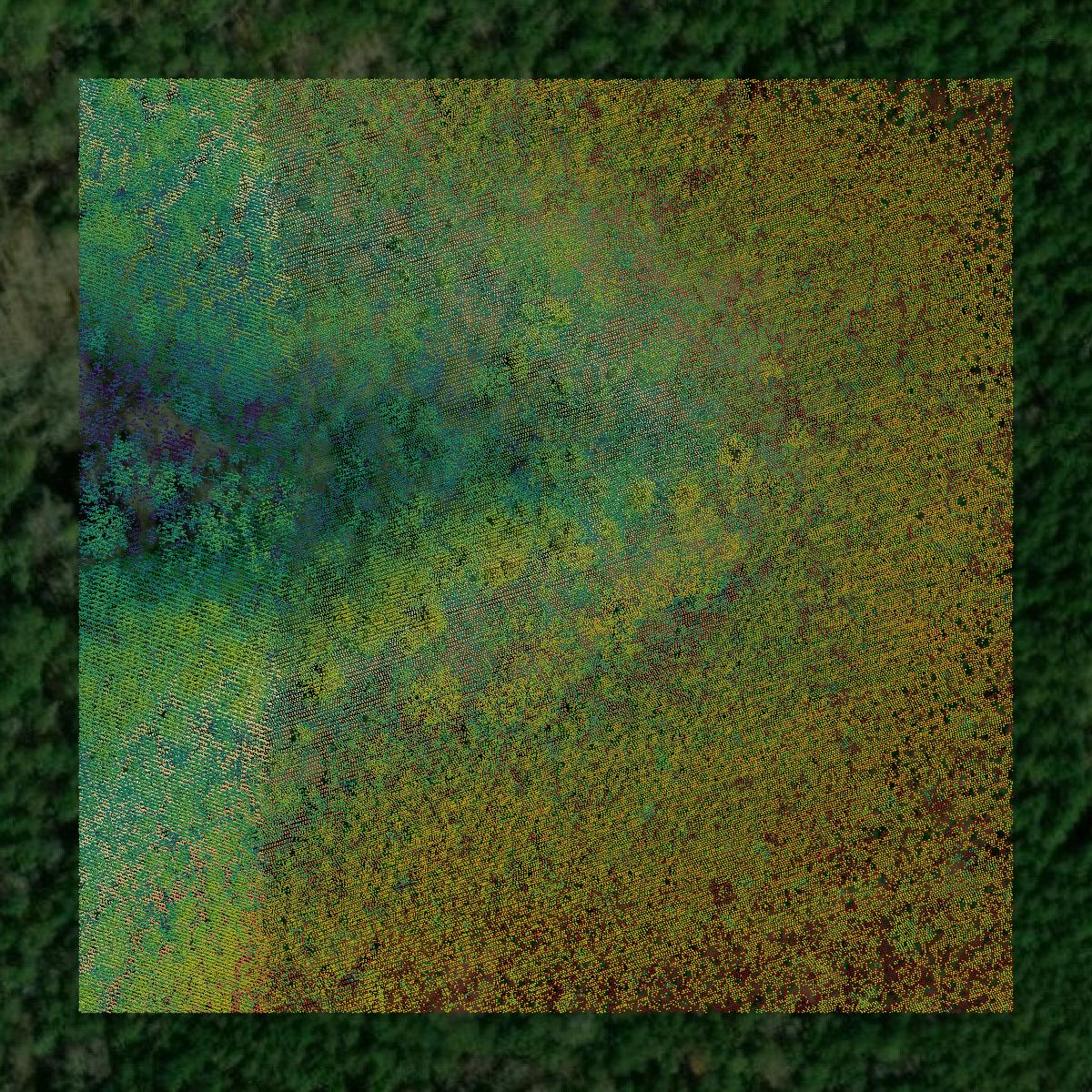 This image shows a LiDAR point cloud in Talbot County created using GIS data in Equator.