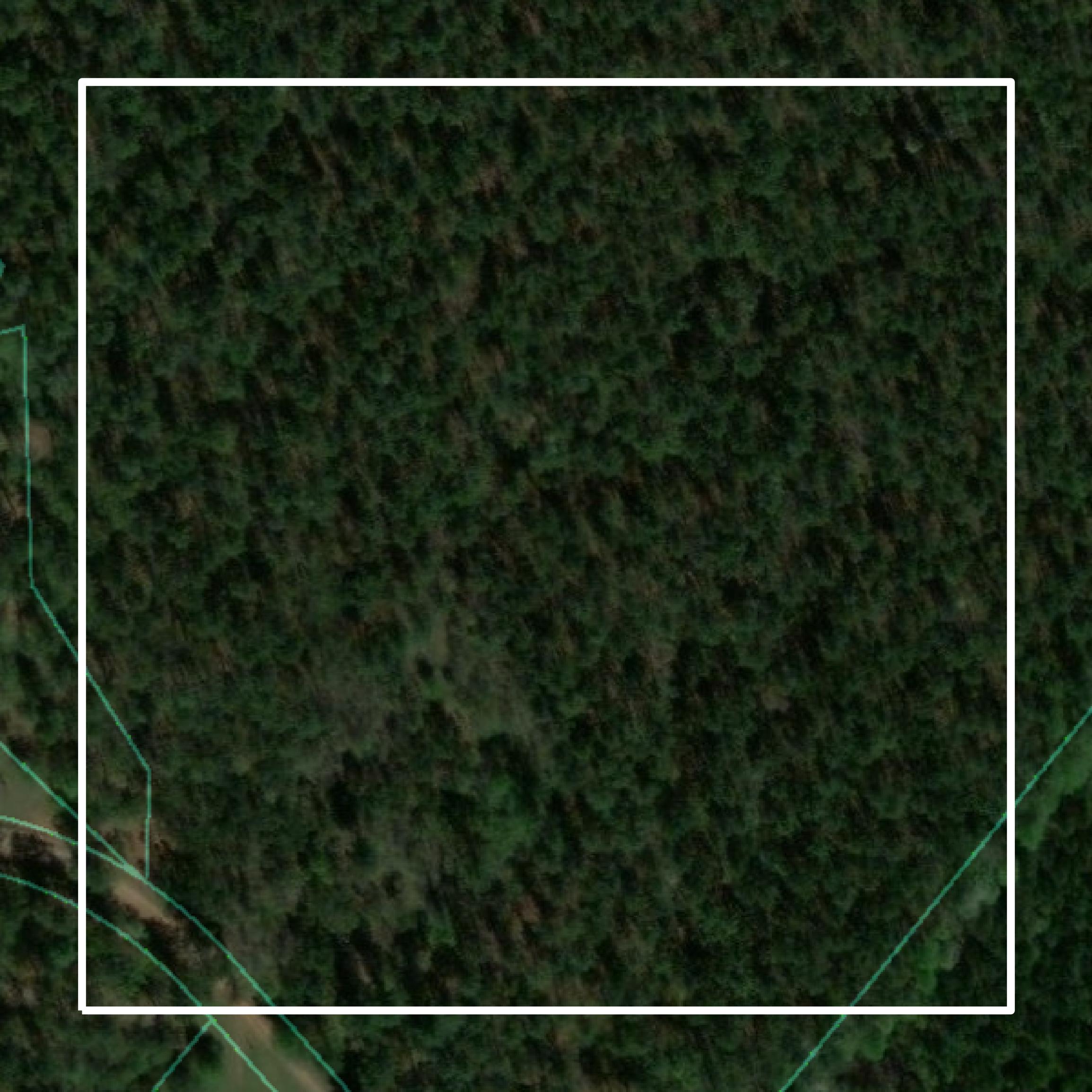 This image shows parcel and building data in Taliaferro County created using GIS data in Equator.