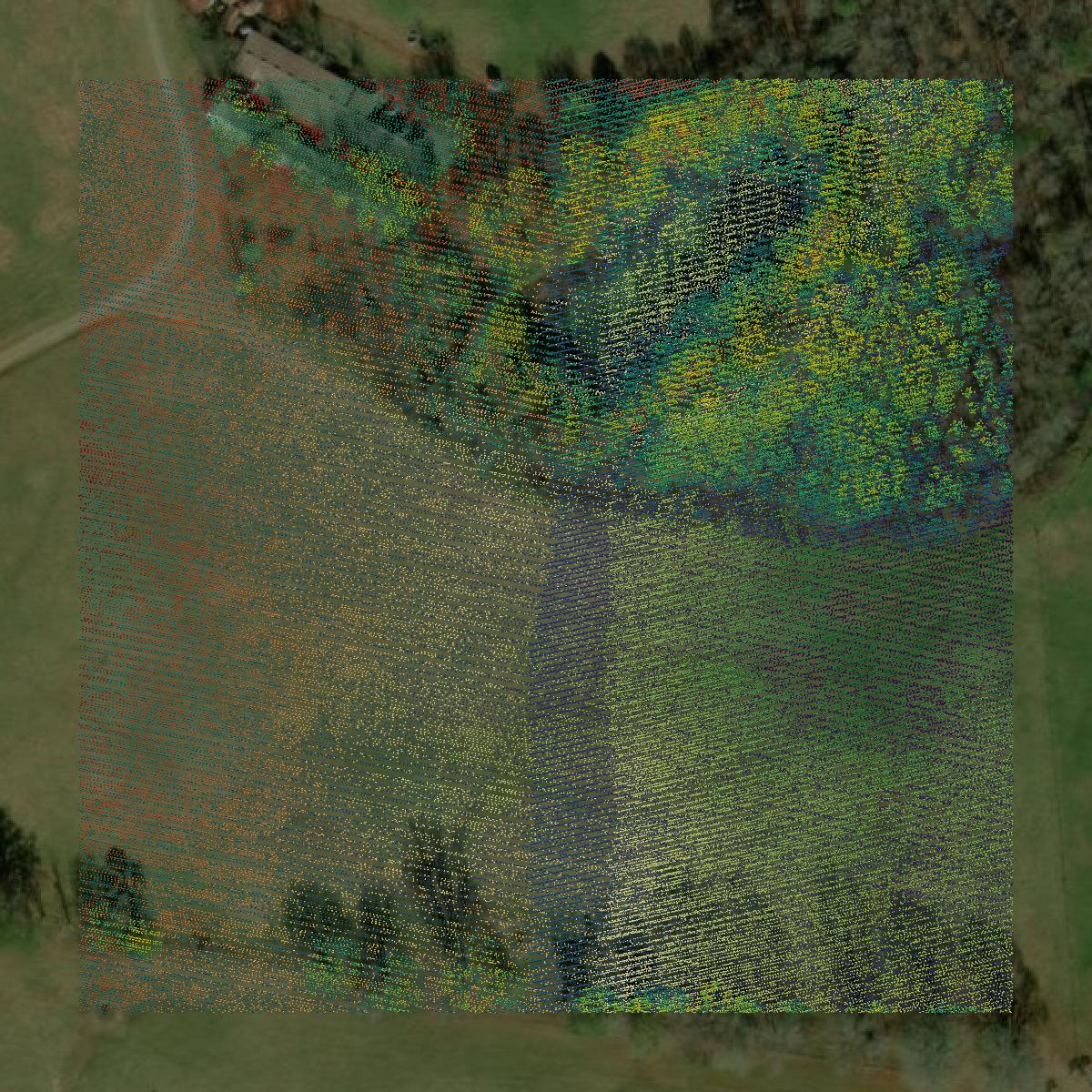 This image shows a LiDAR point cloud in Taliaferro County created using GIS data in Equator.