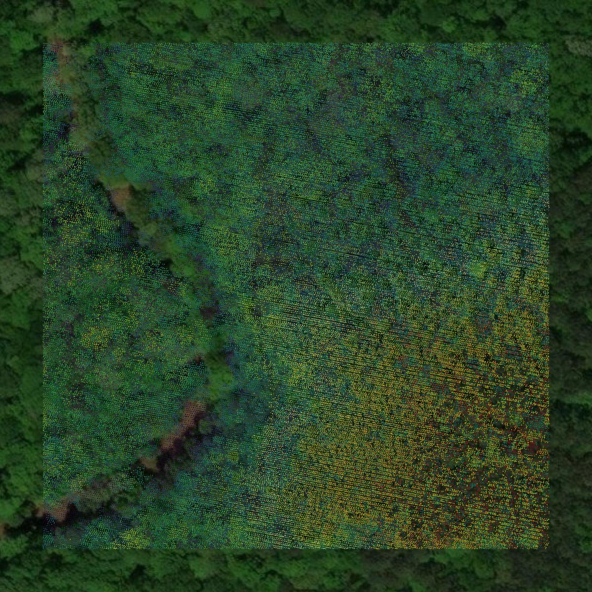 This image shows a LiDAR point cloud in Taliaferro County created using GIS data in Equator.
