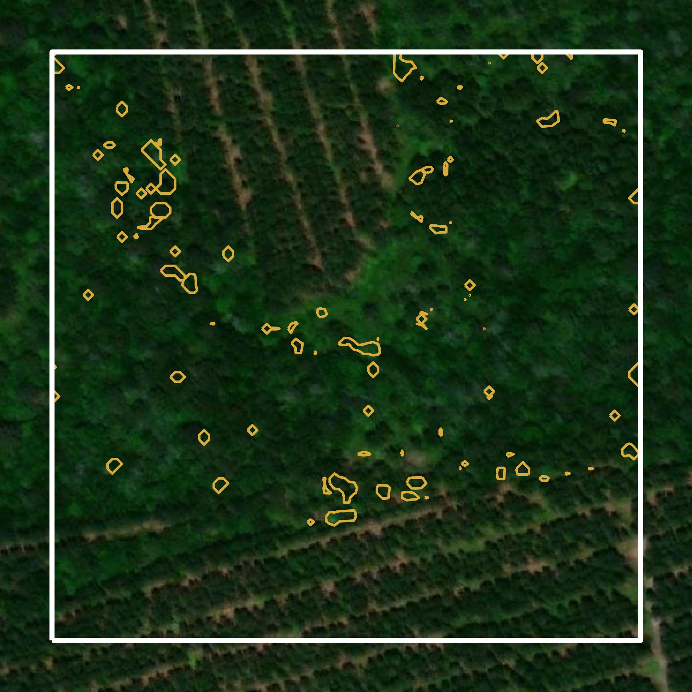 This image shows a contour map in Tattnall County created using GIS data in Equator.