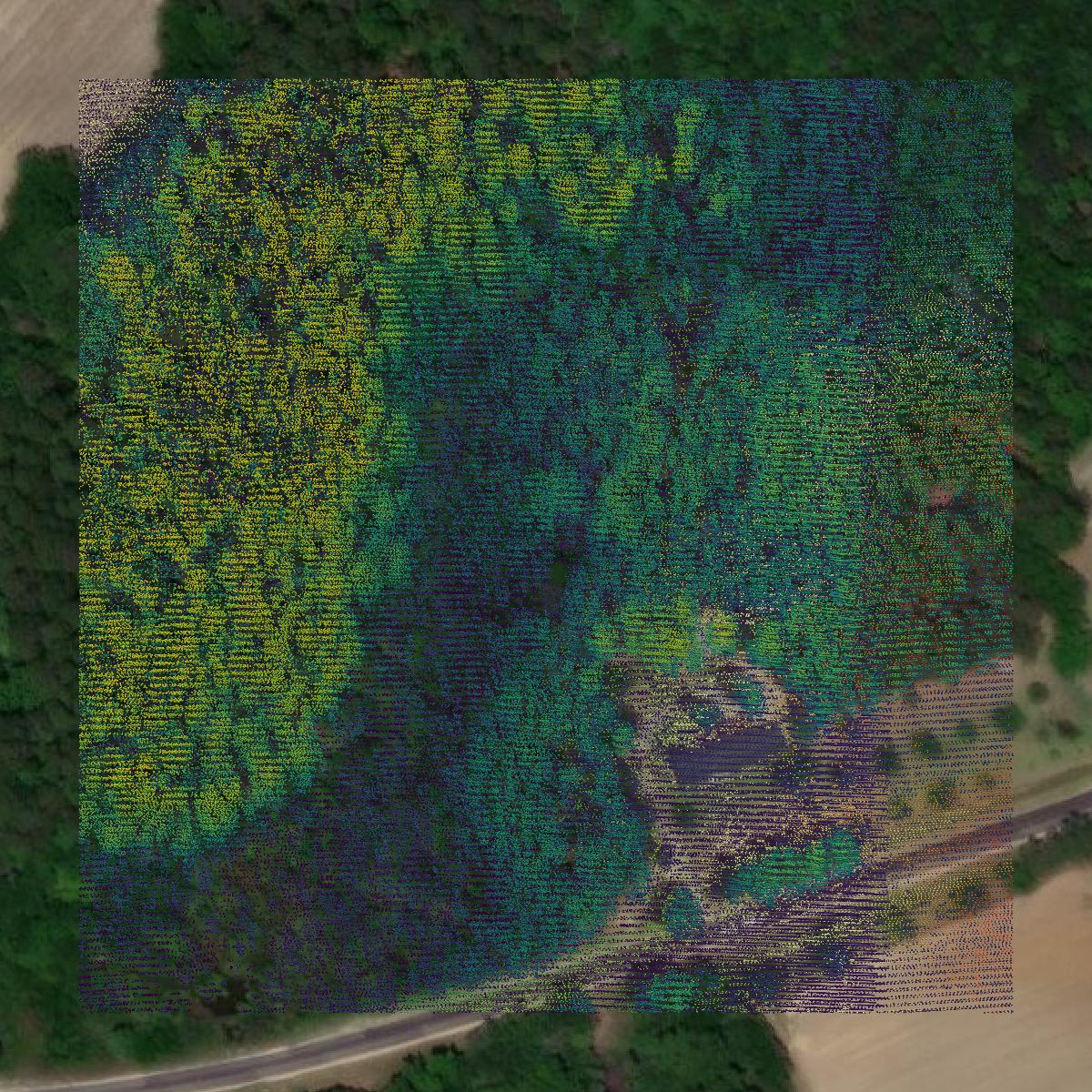 This image shows a LiDAR point cloud in Tattnall County created using GIS data in Equator.