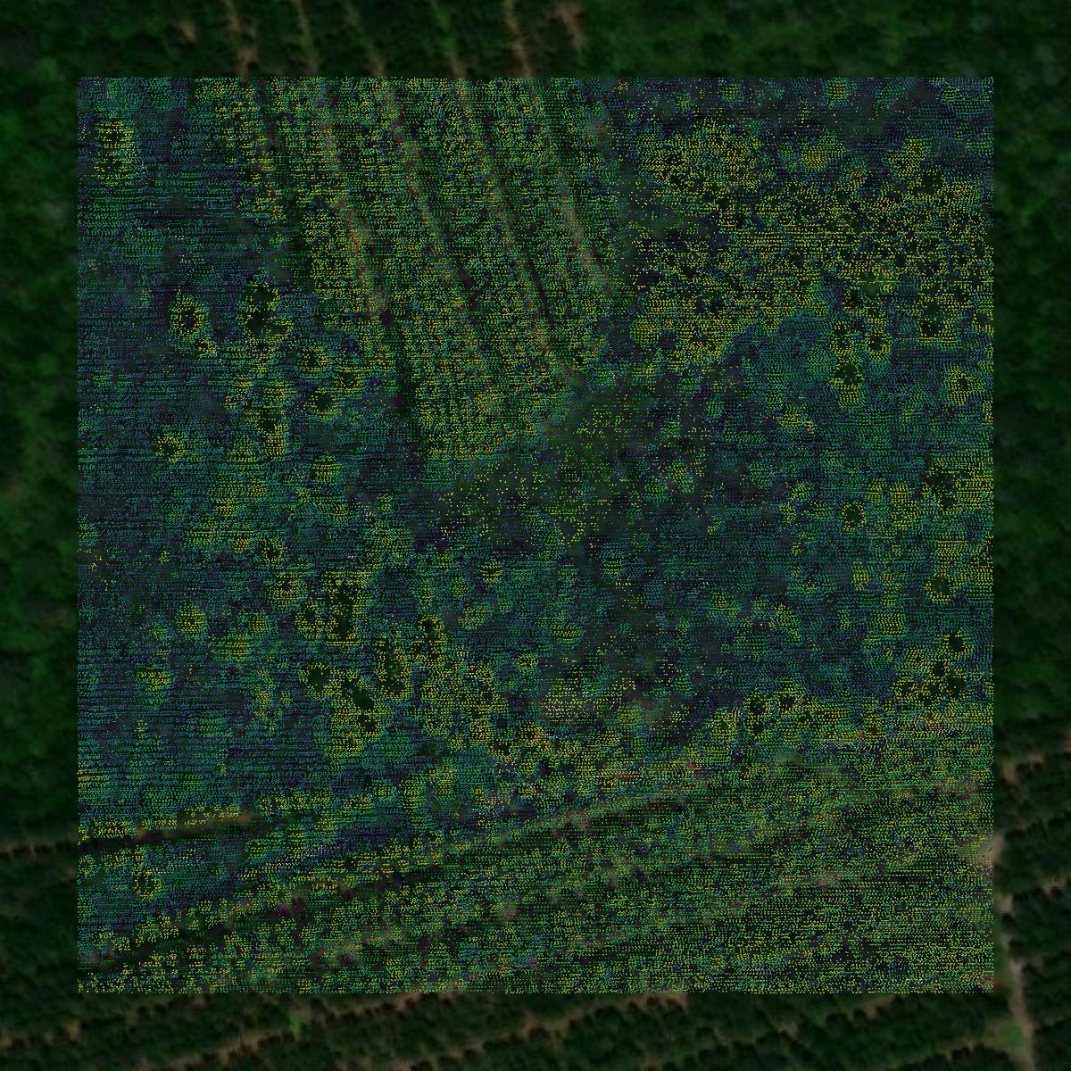 This image shows a LiDAR point cloud in Tattnall County created using GIS data in Equator.