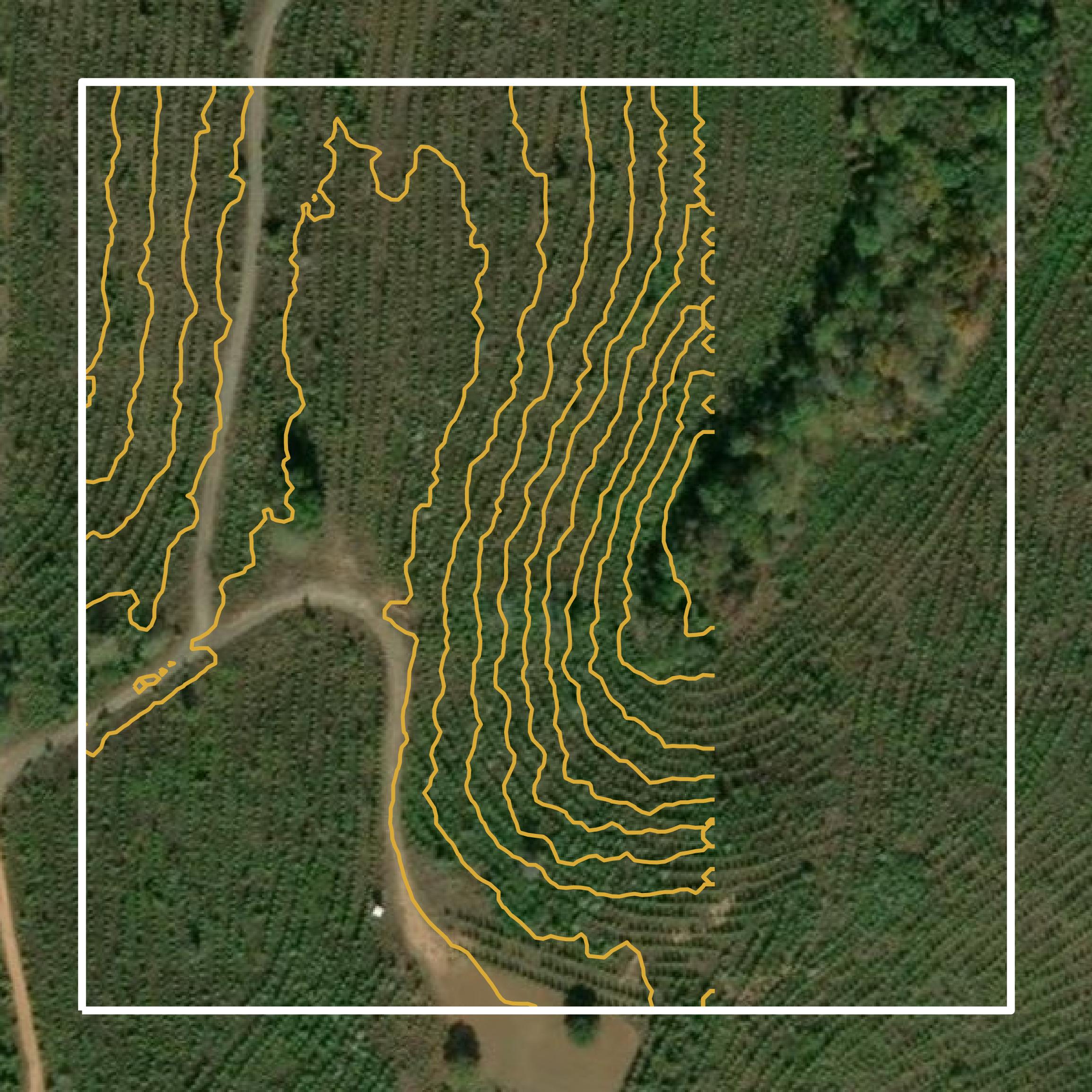 This image shows a contour map in Taylor County created using GIS data in Equator.