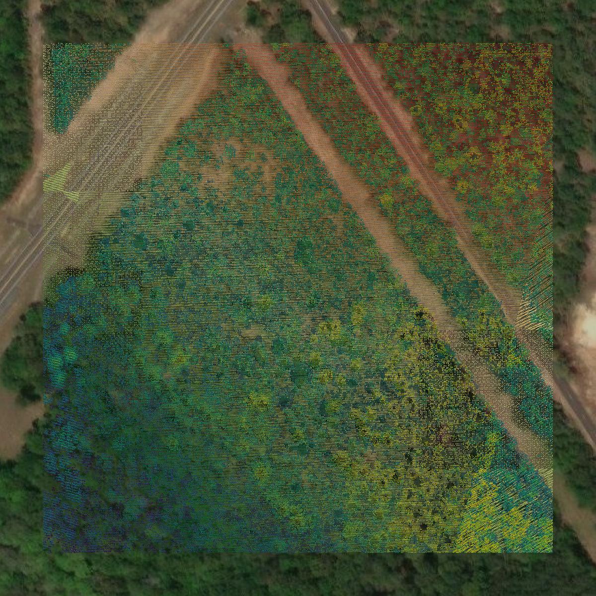 This image shows a LiDAR point cloud in Taylor County created using GIS data in Equator.