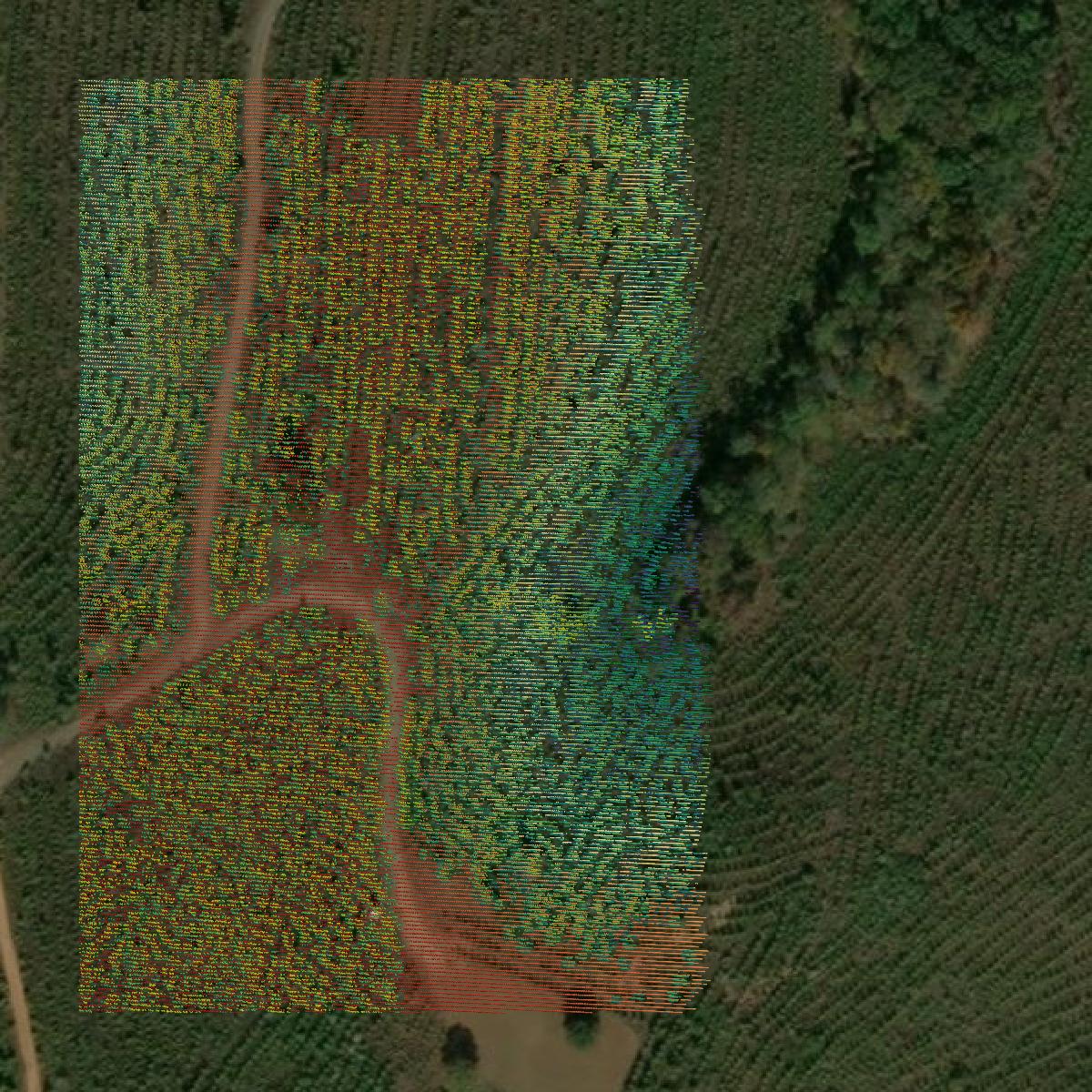 This image shows a LiDAR point cloud in Taylor County created using GIS data in Equator.