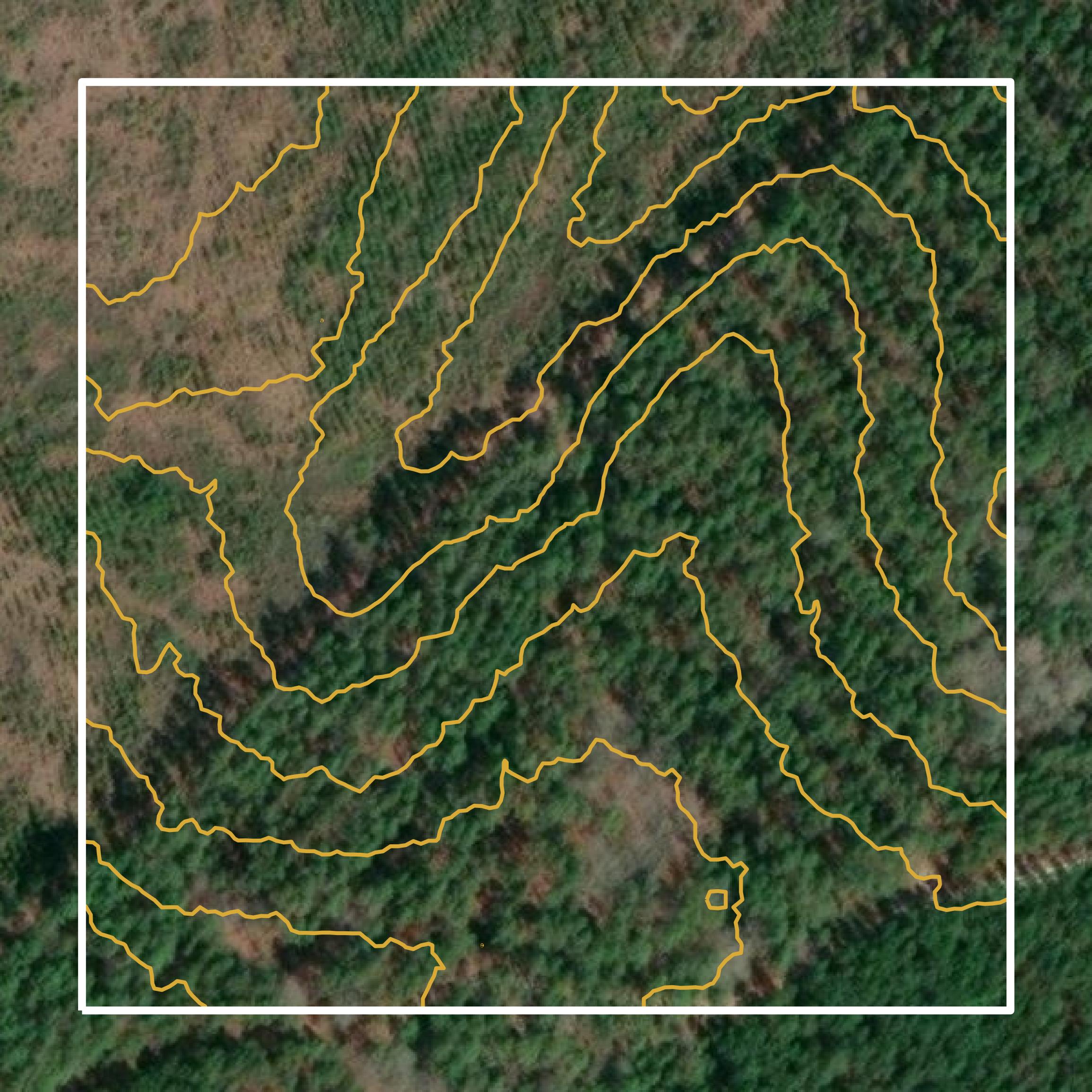This image shows a contour map in Telfair County created using GIS data in Equator.